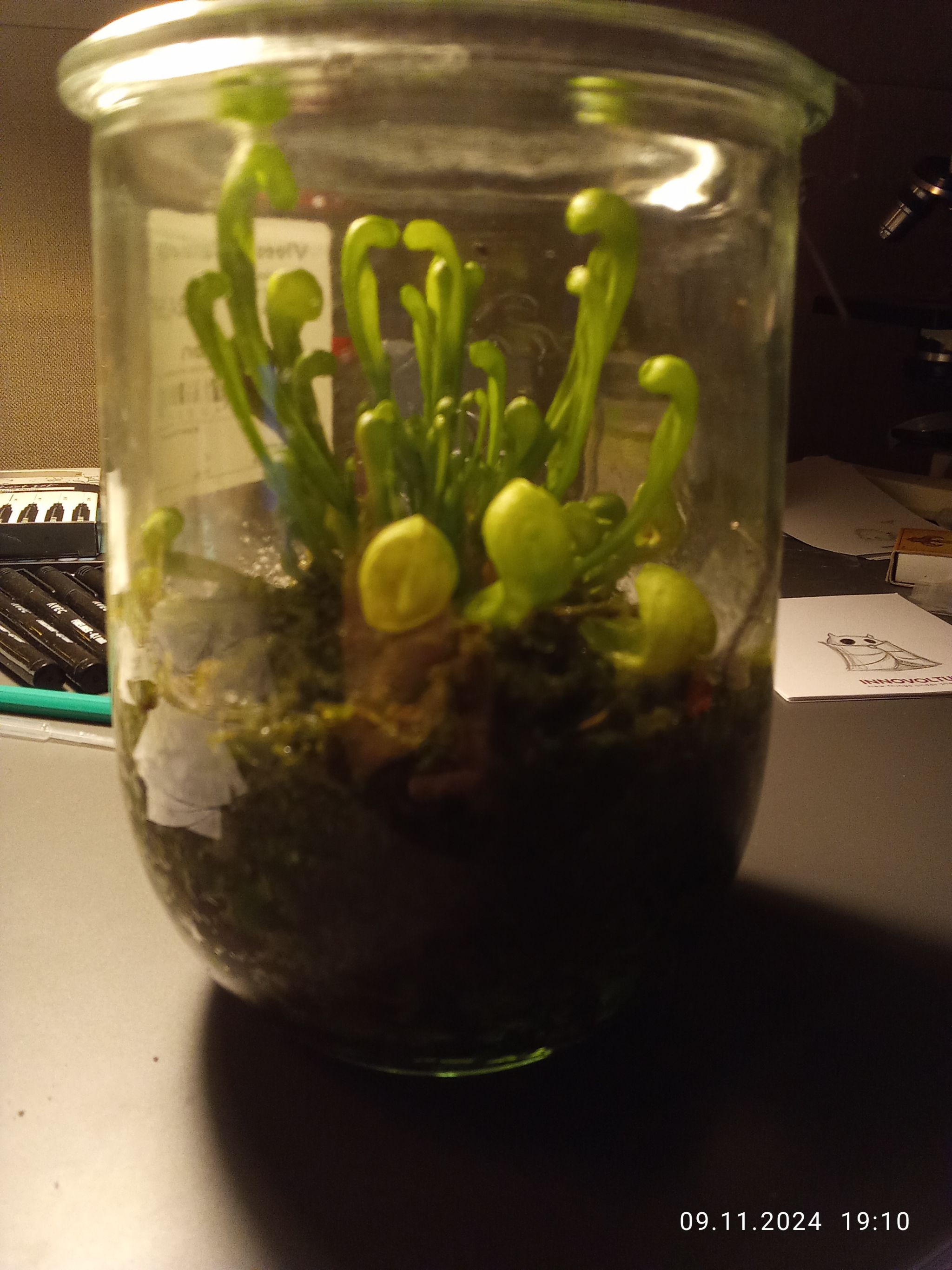 Photo from the post