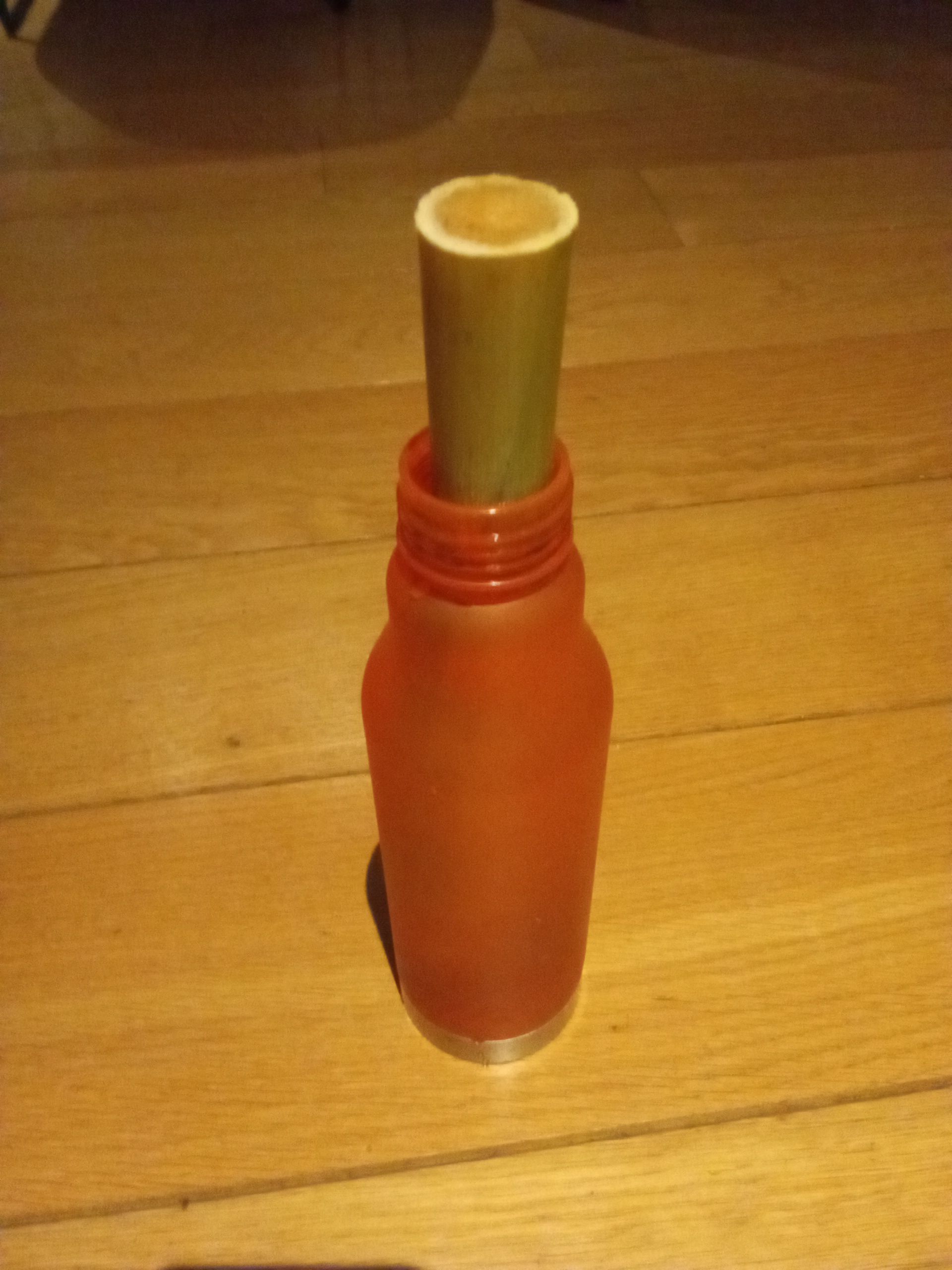 Photo from the post