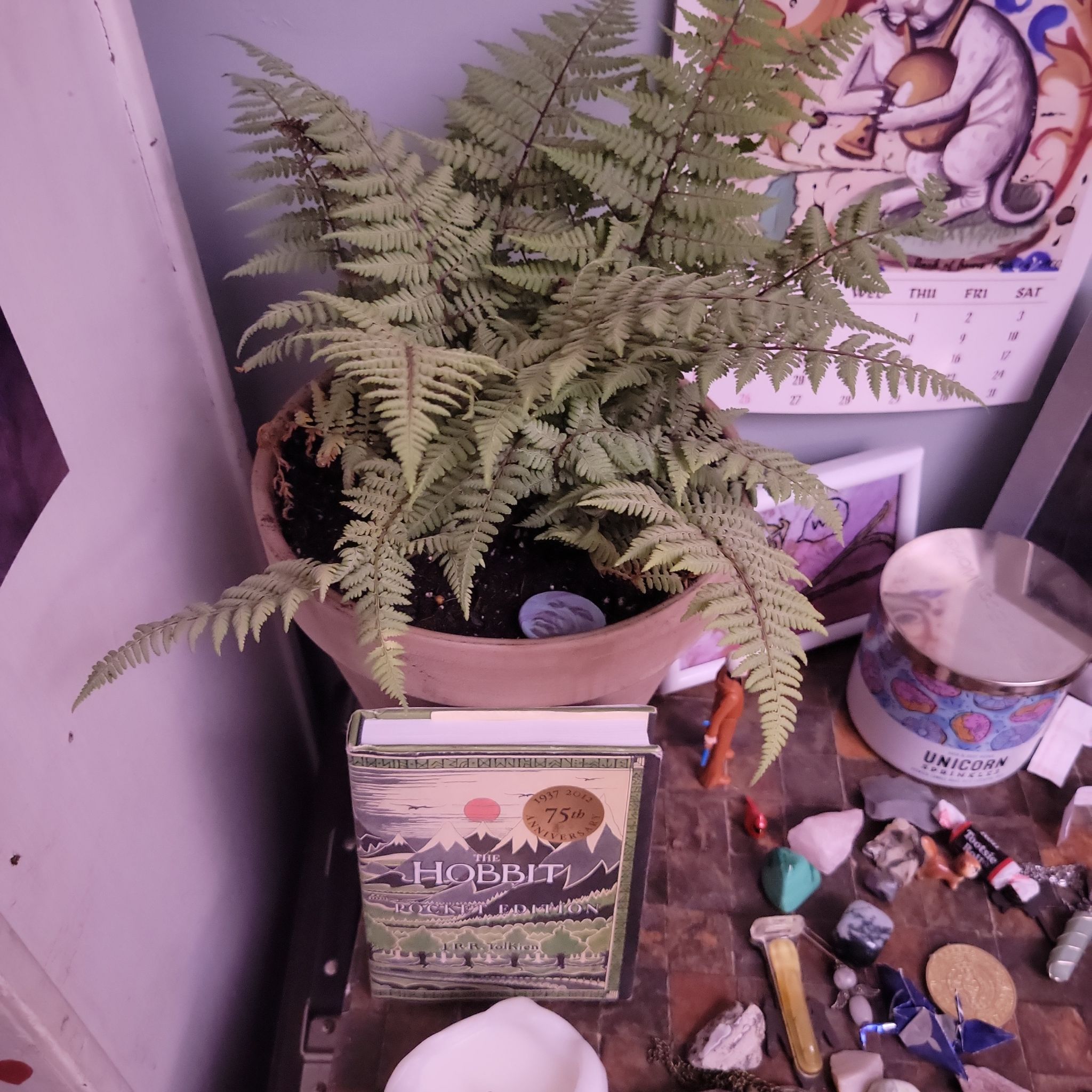 Photo of the plant species Ghost Fern by @RulerCherryred named Nemo on Greg, the plant care app