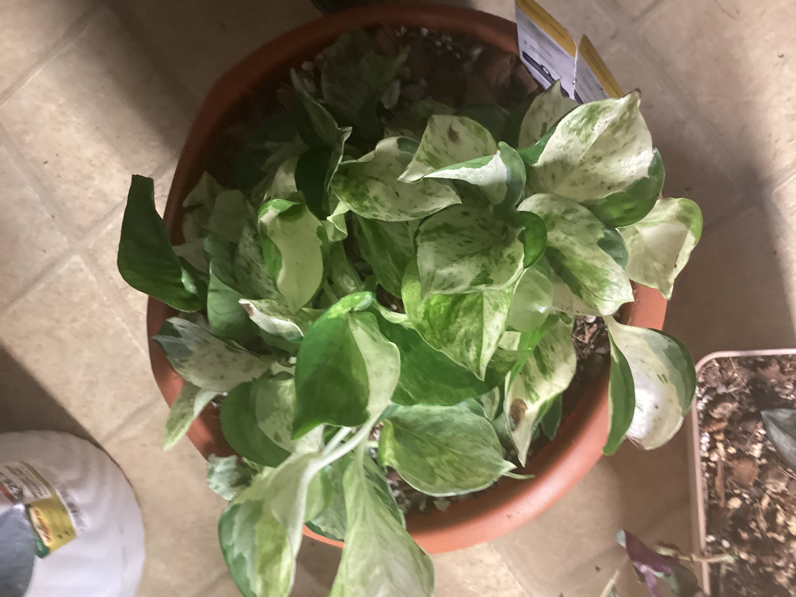 Photo from the post