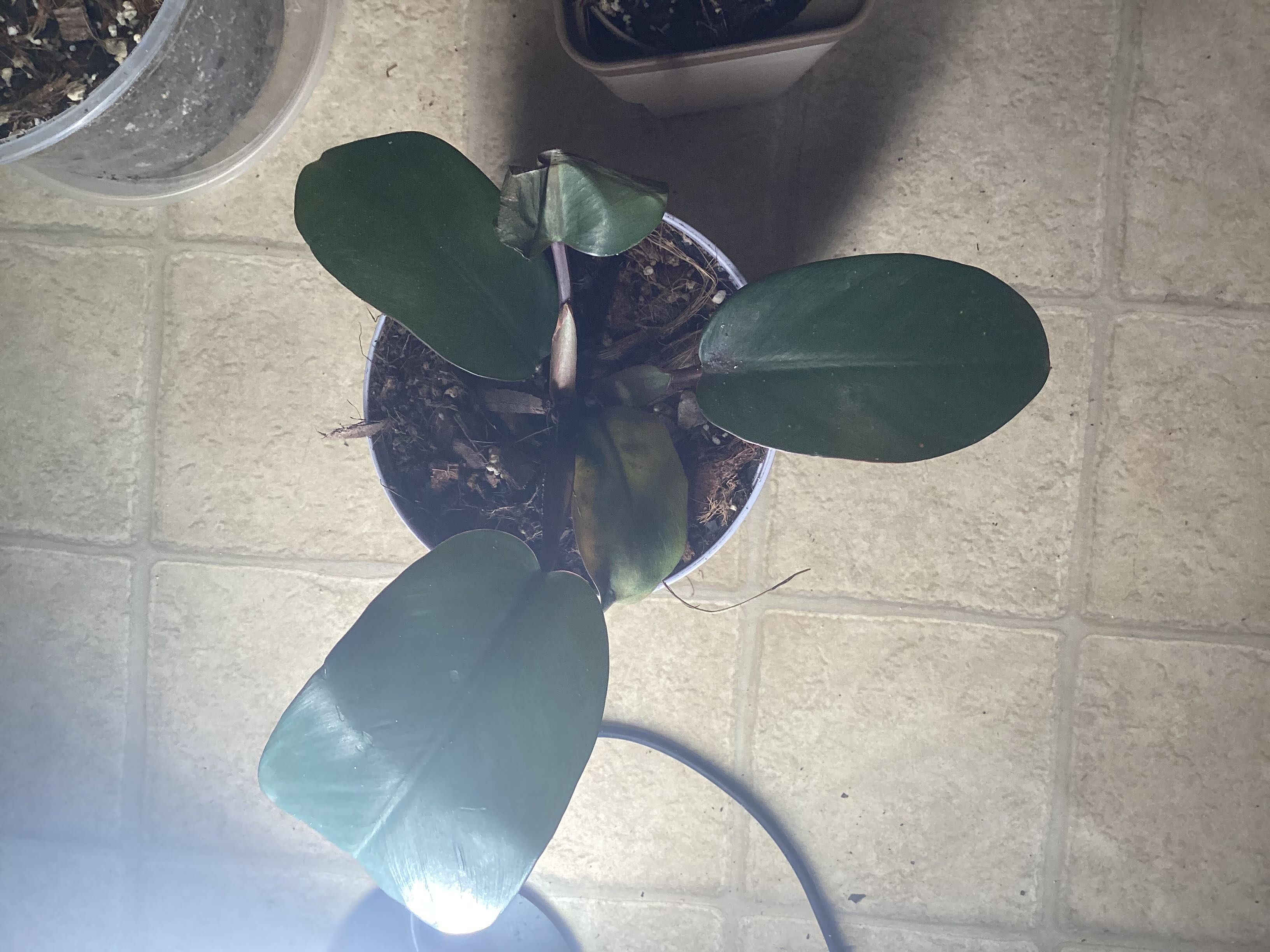 Photo from the post