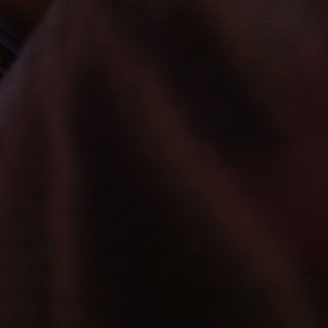 Plant care for Kauri Pine on Greg, the plant care app