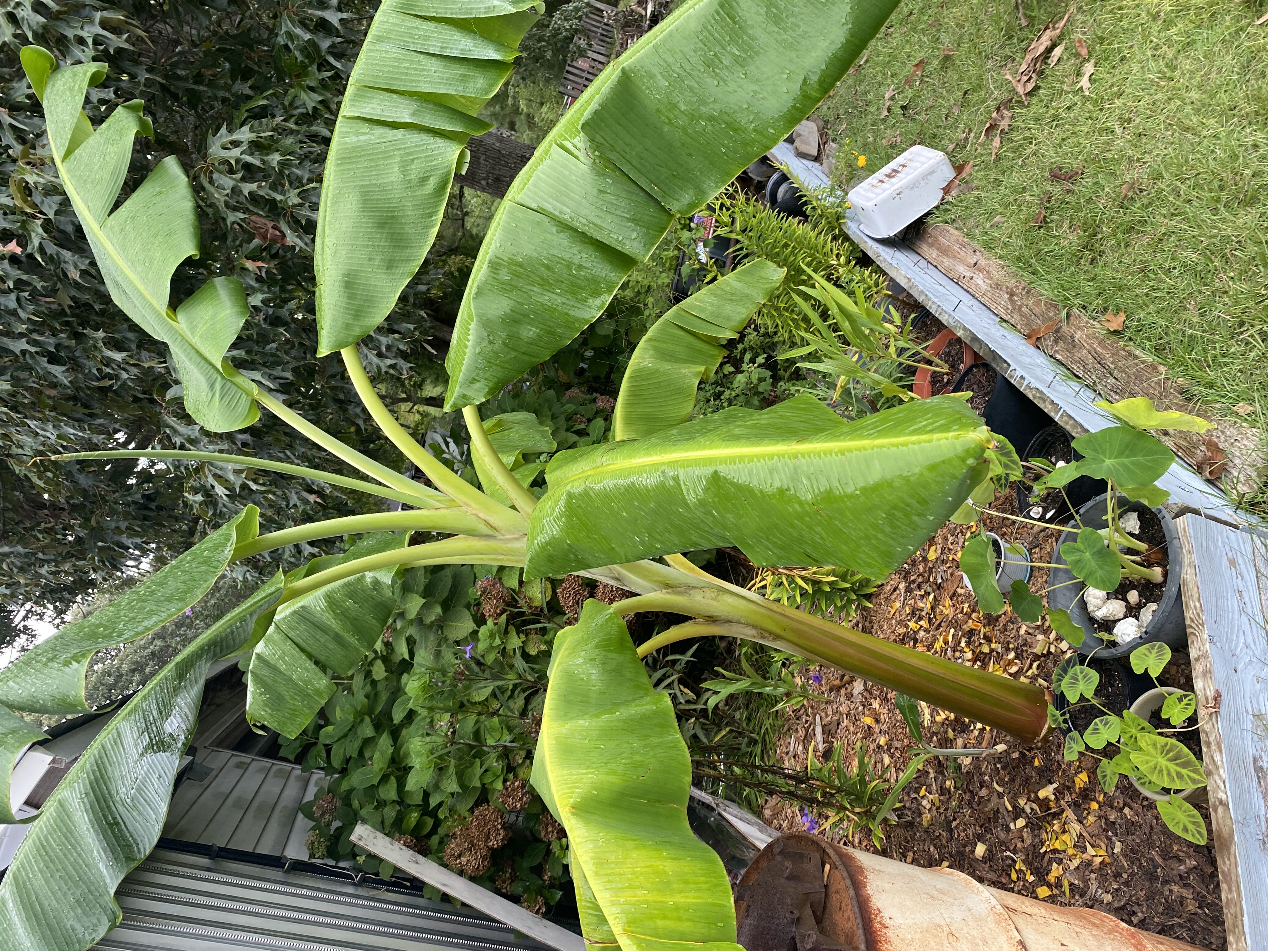 Photo from the post