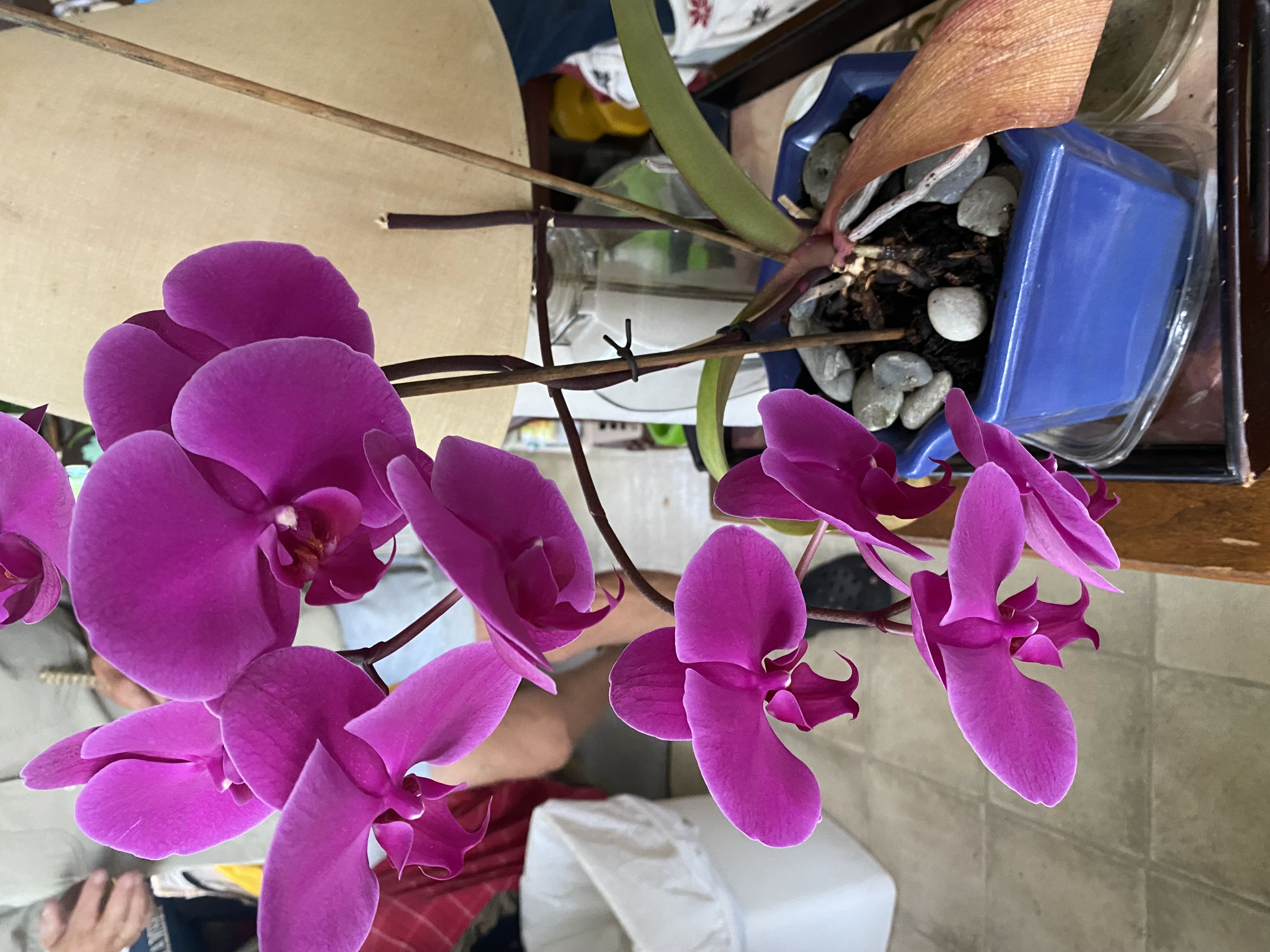 Photo from the post