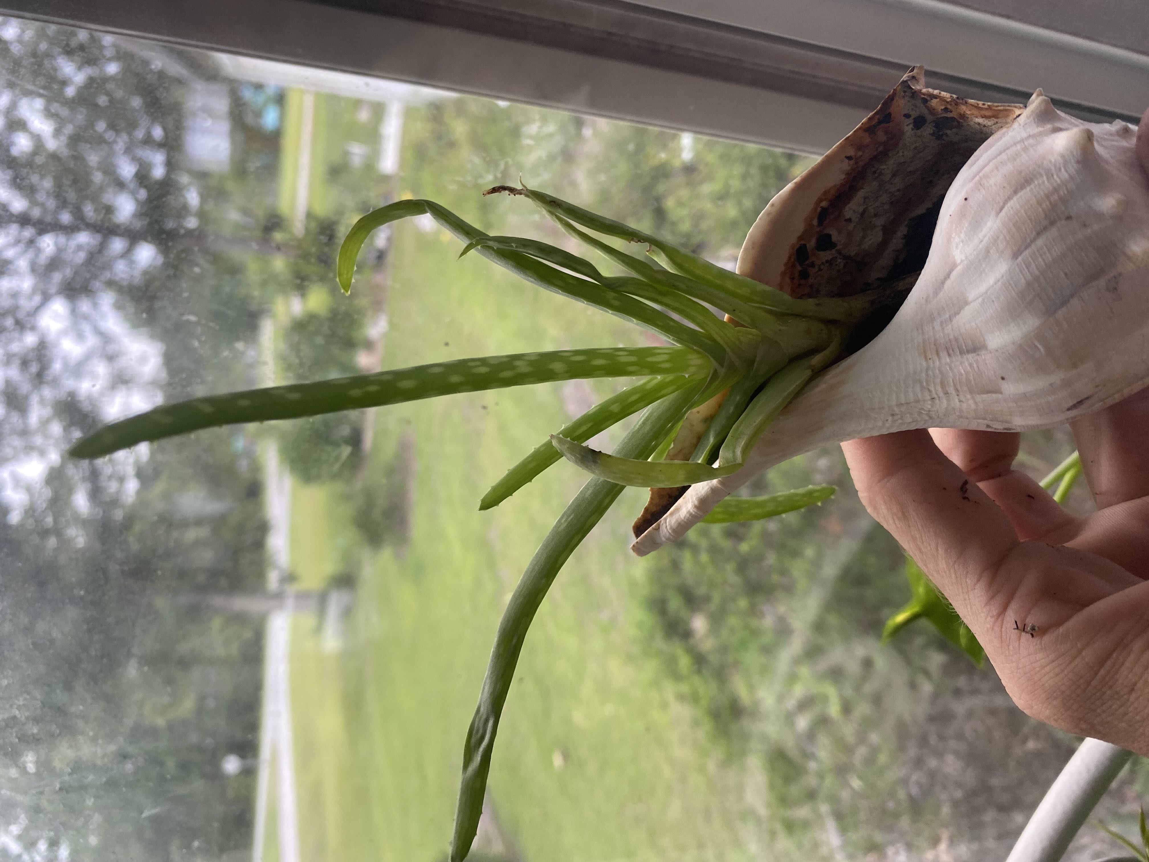 Photo from the post
