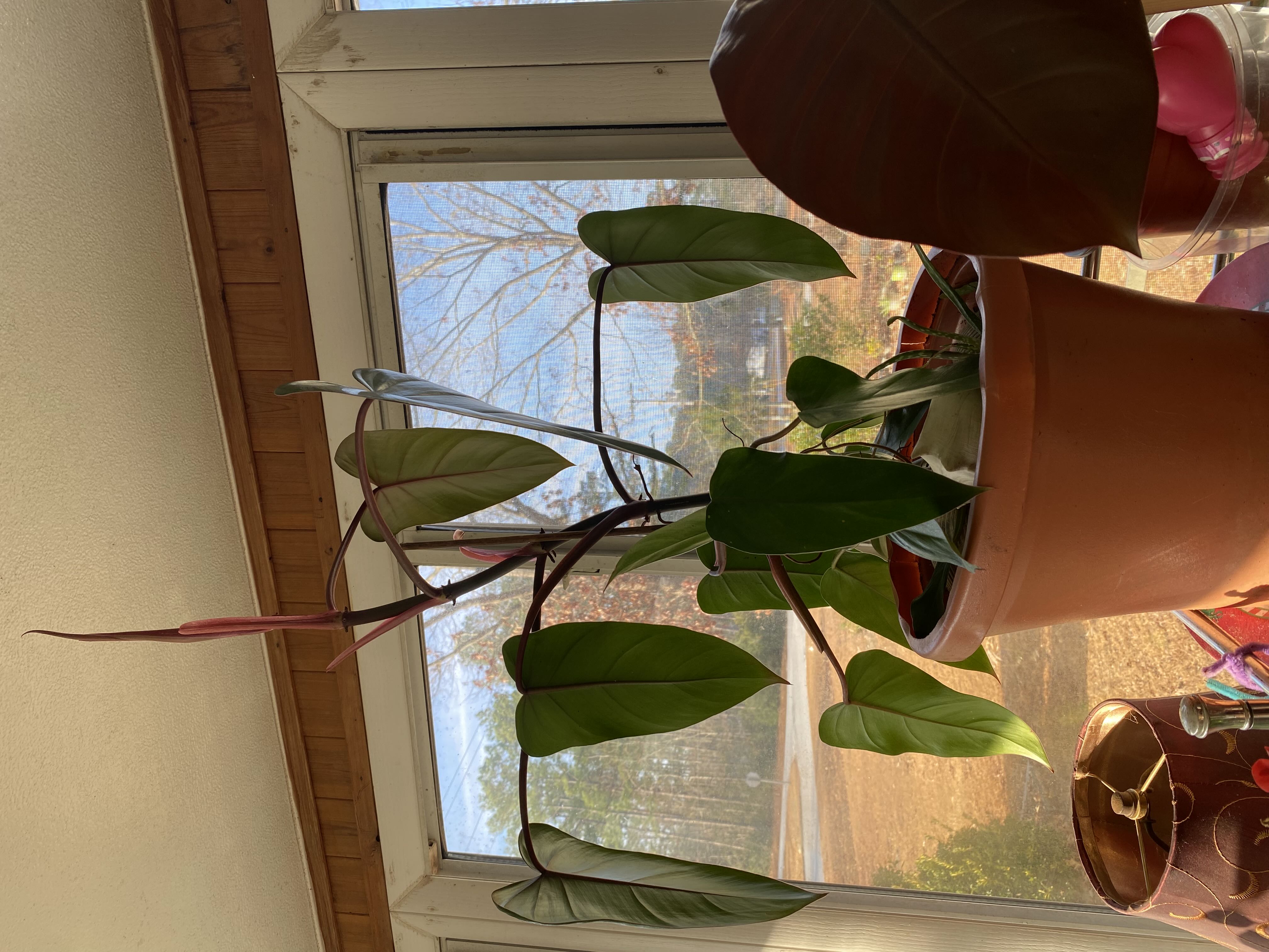 Photo from the post