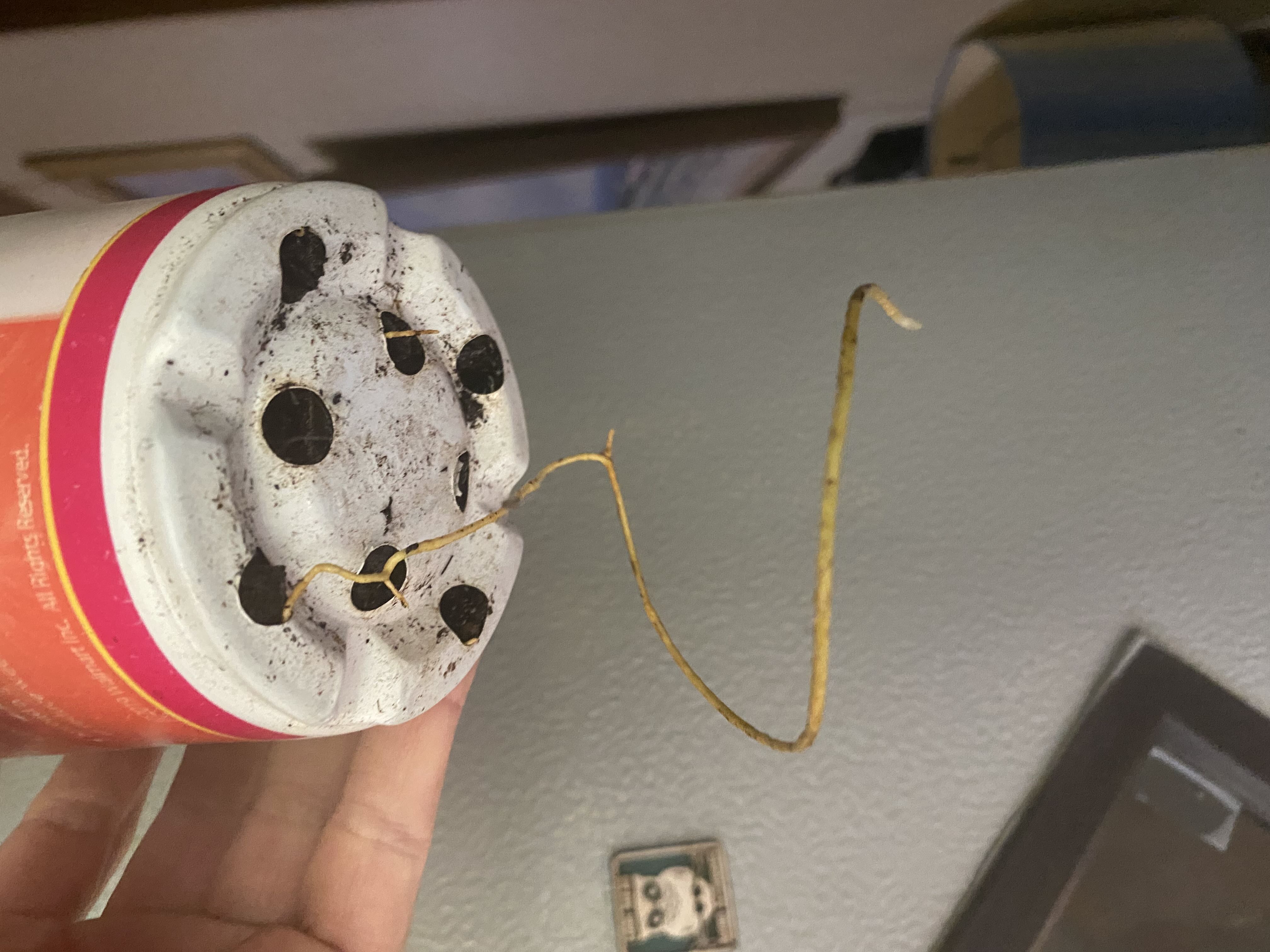 Photo from the post