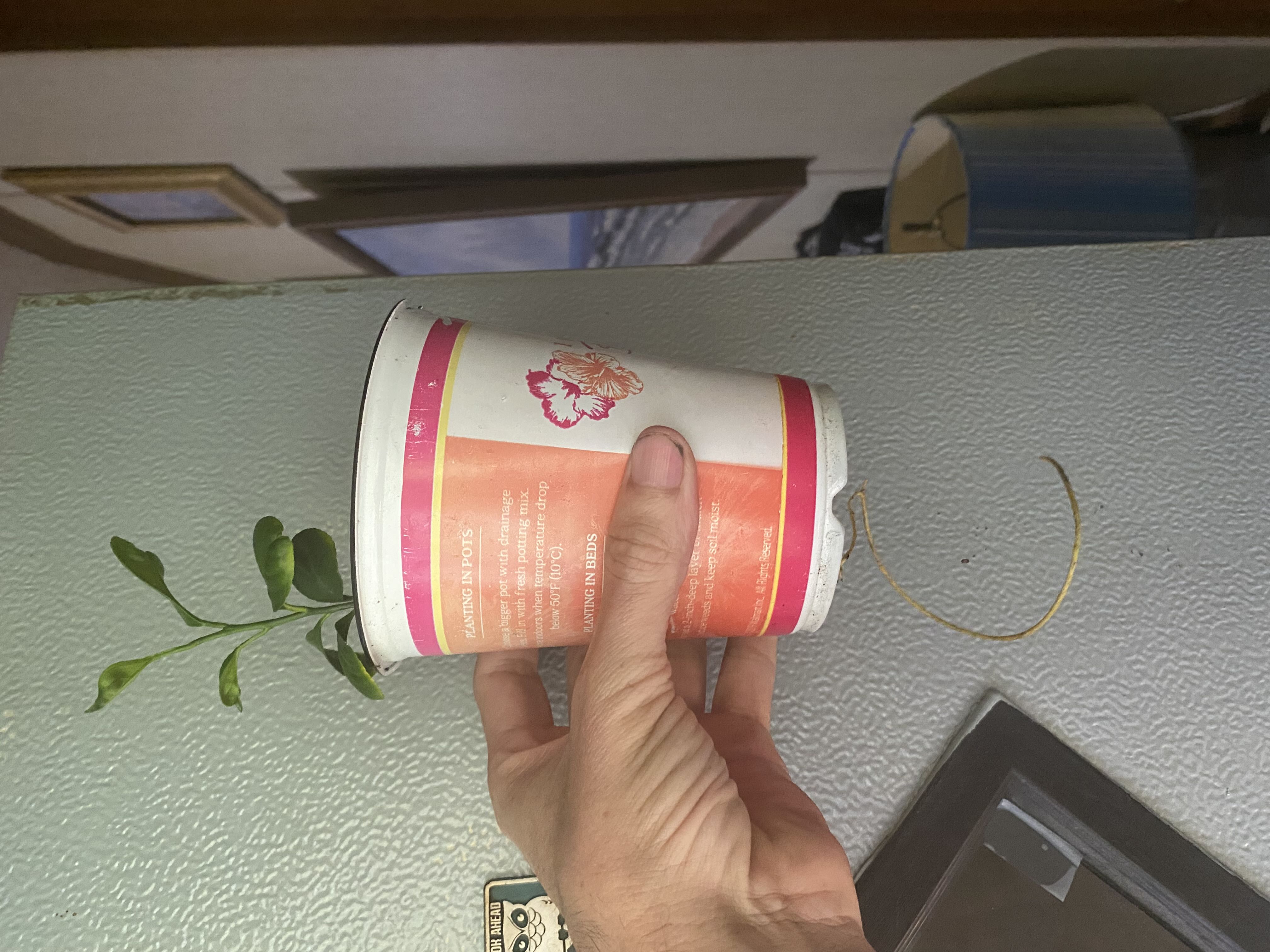 Photo from the post