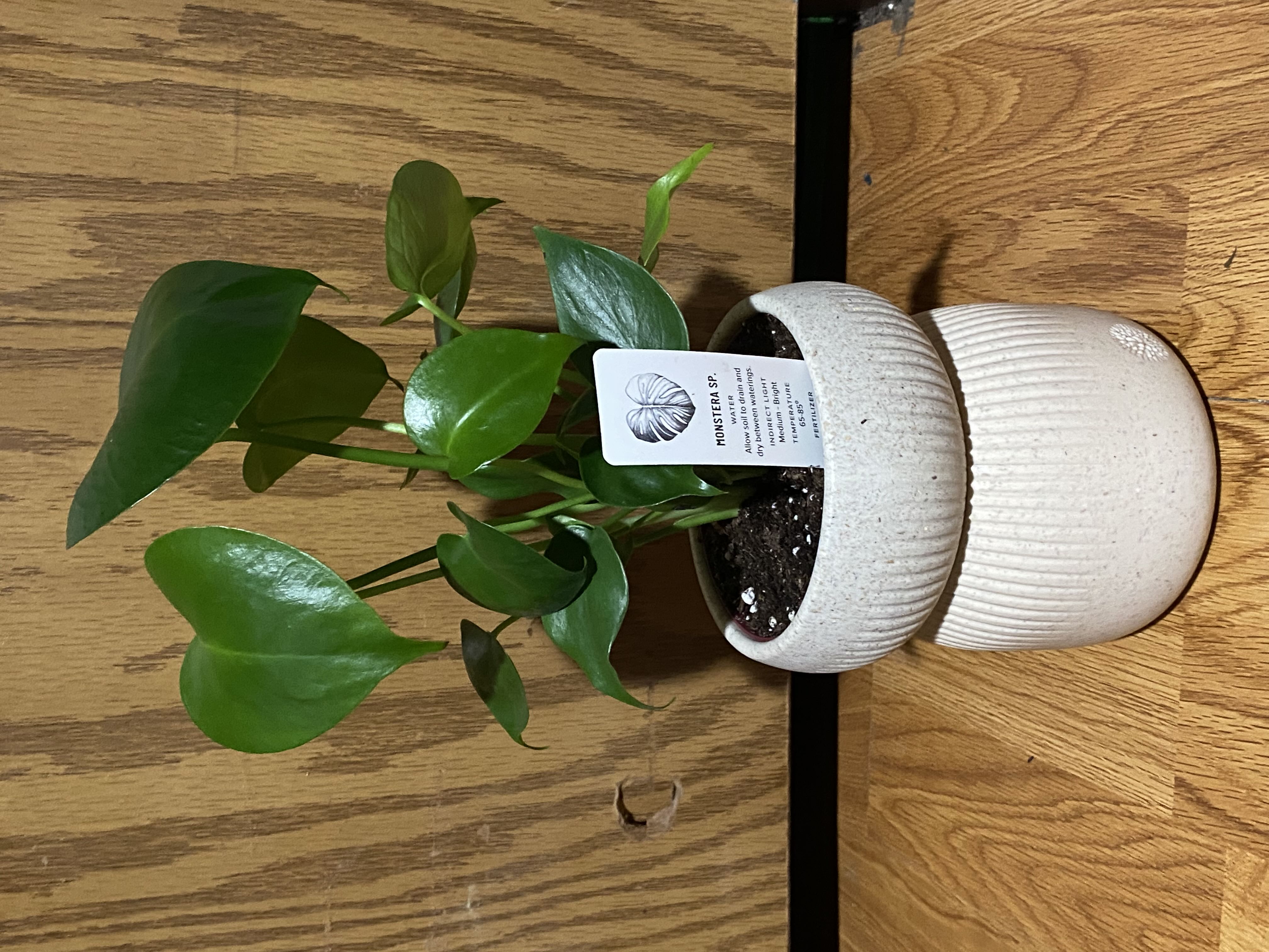 Photo from the post