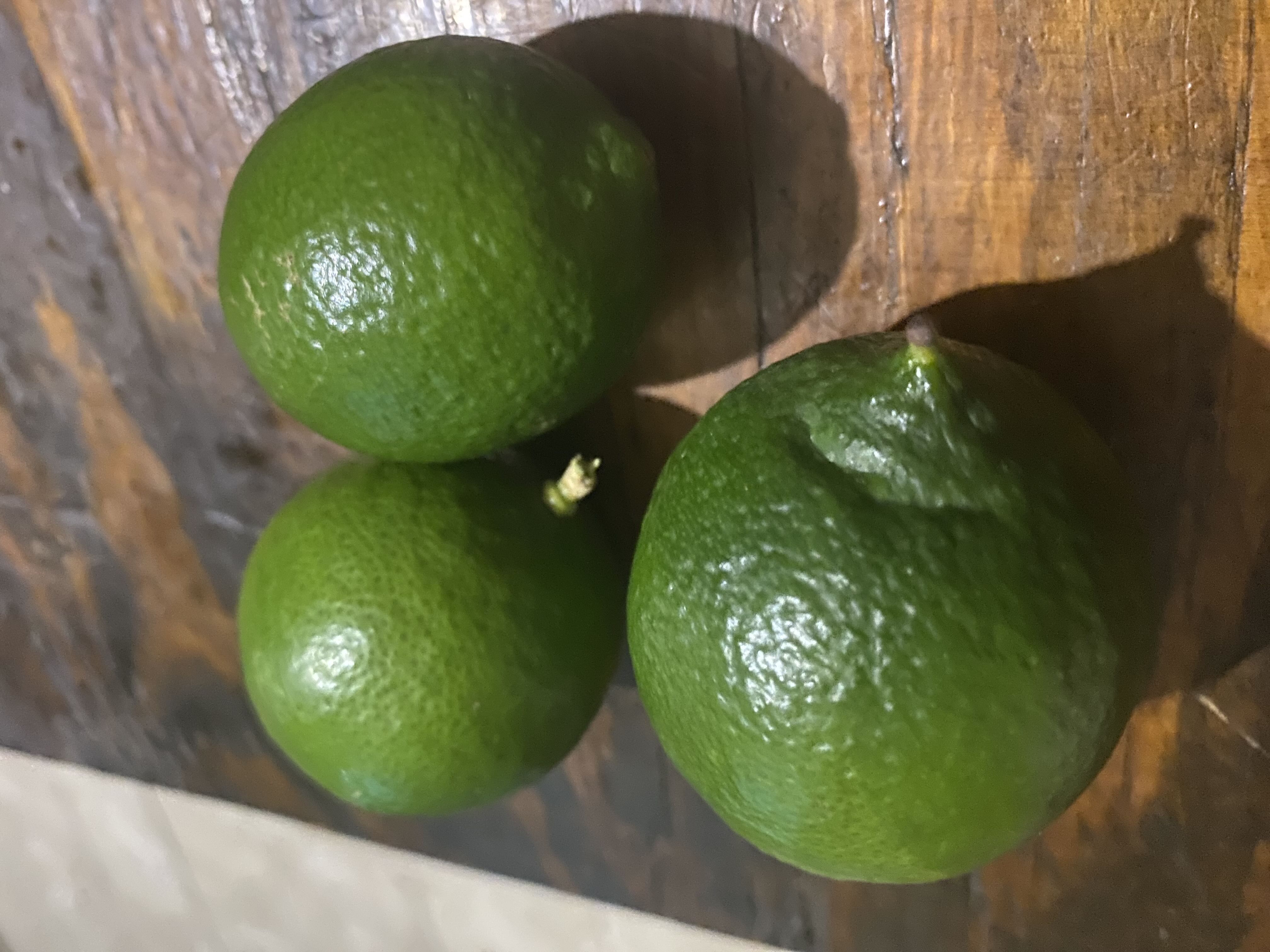 Photo from the post