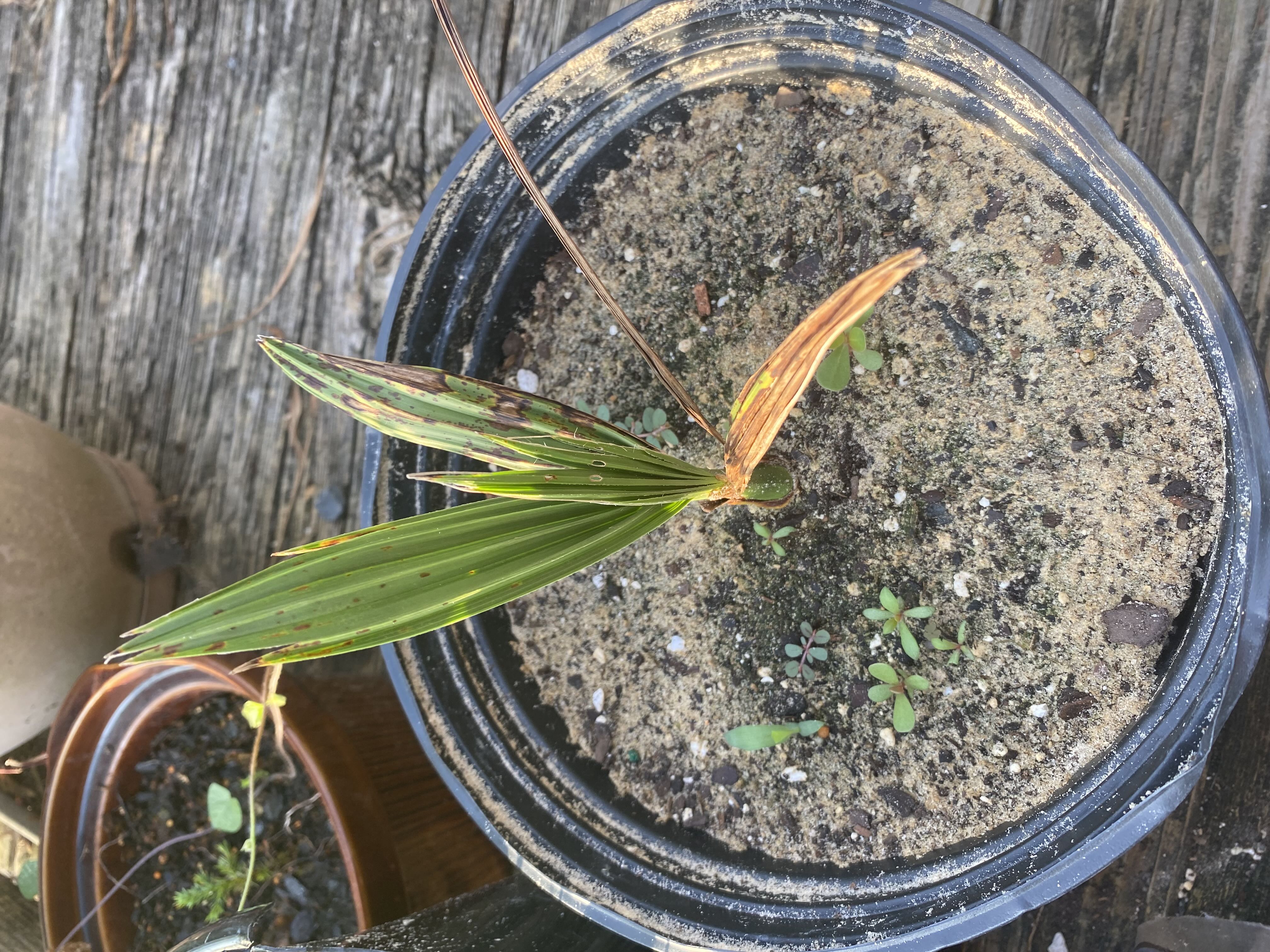 Photo from the post