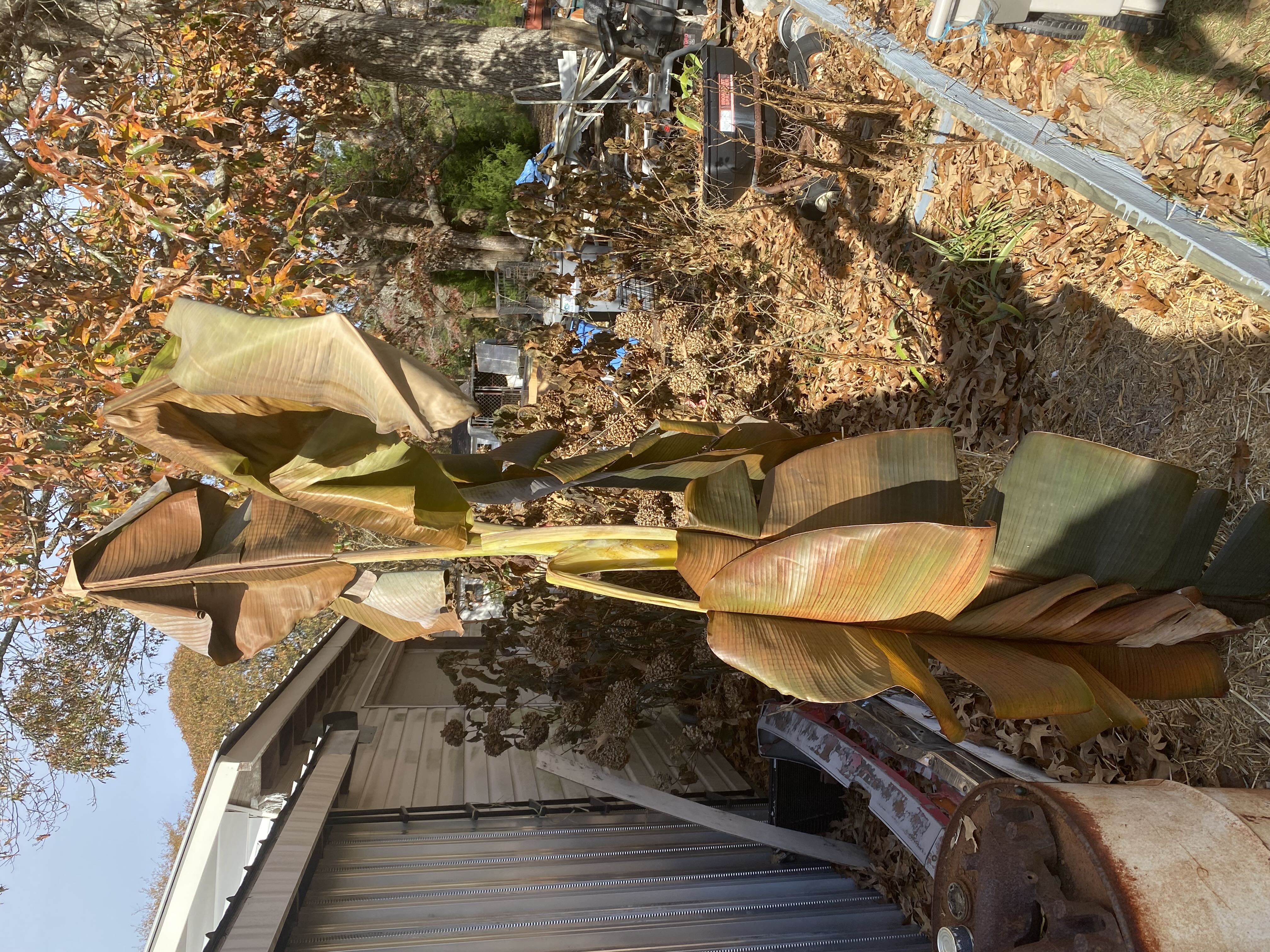 Photo from the post