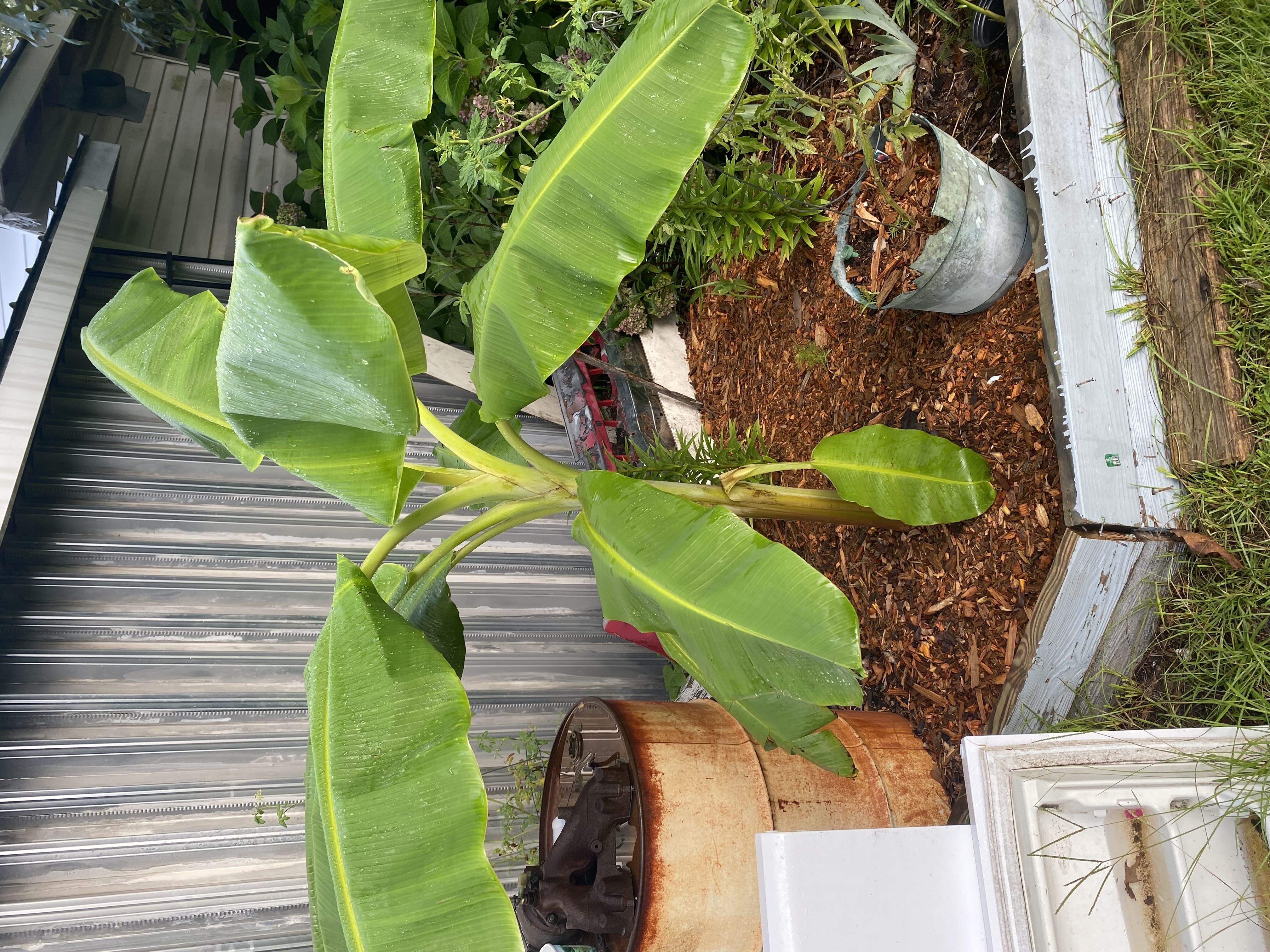 Photo from the post