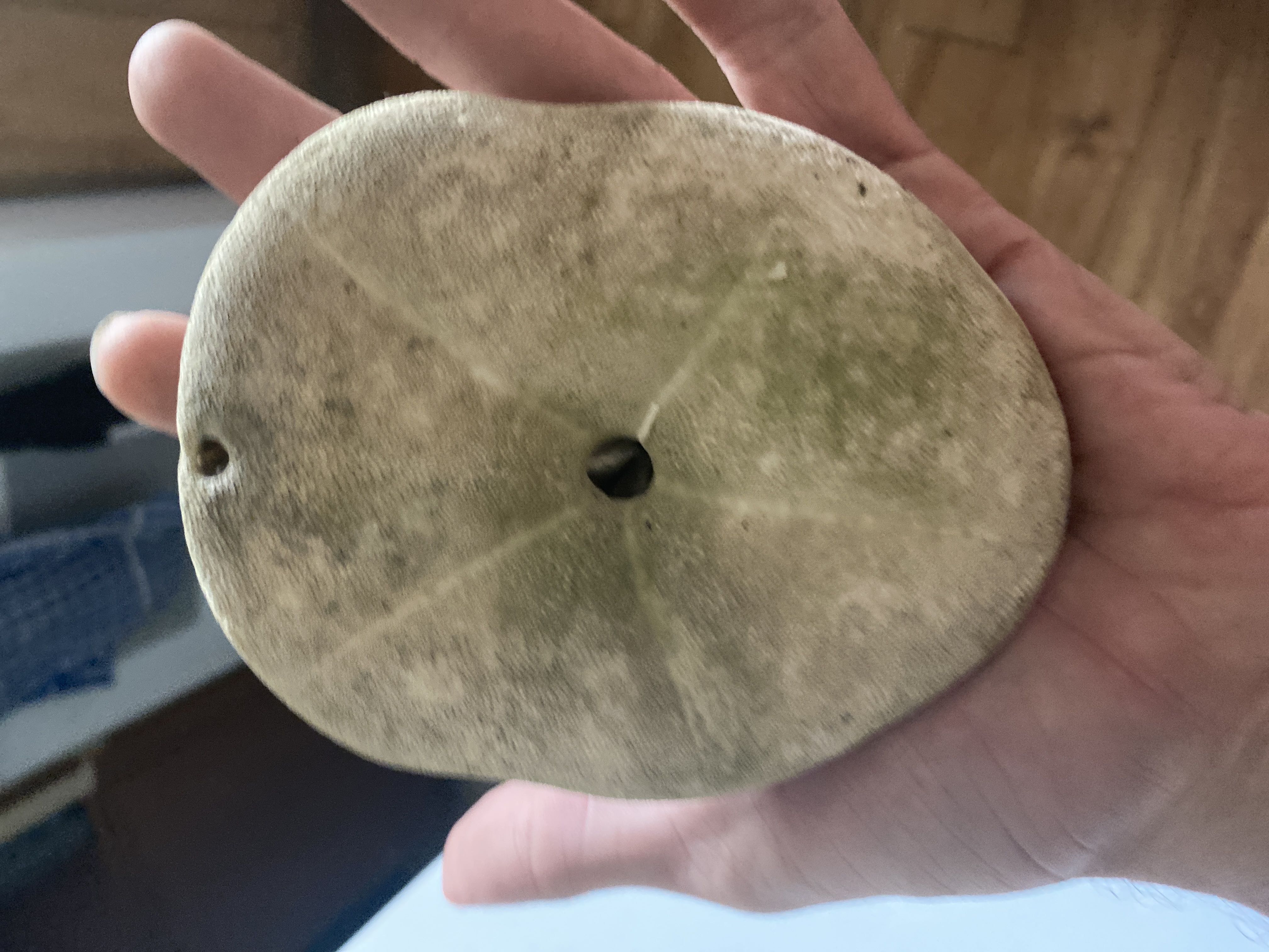 Photo from the post