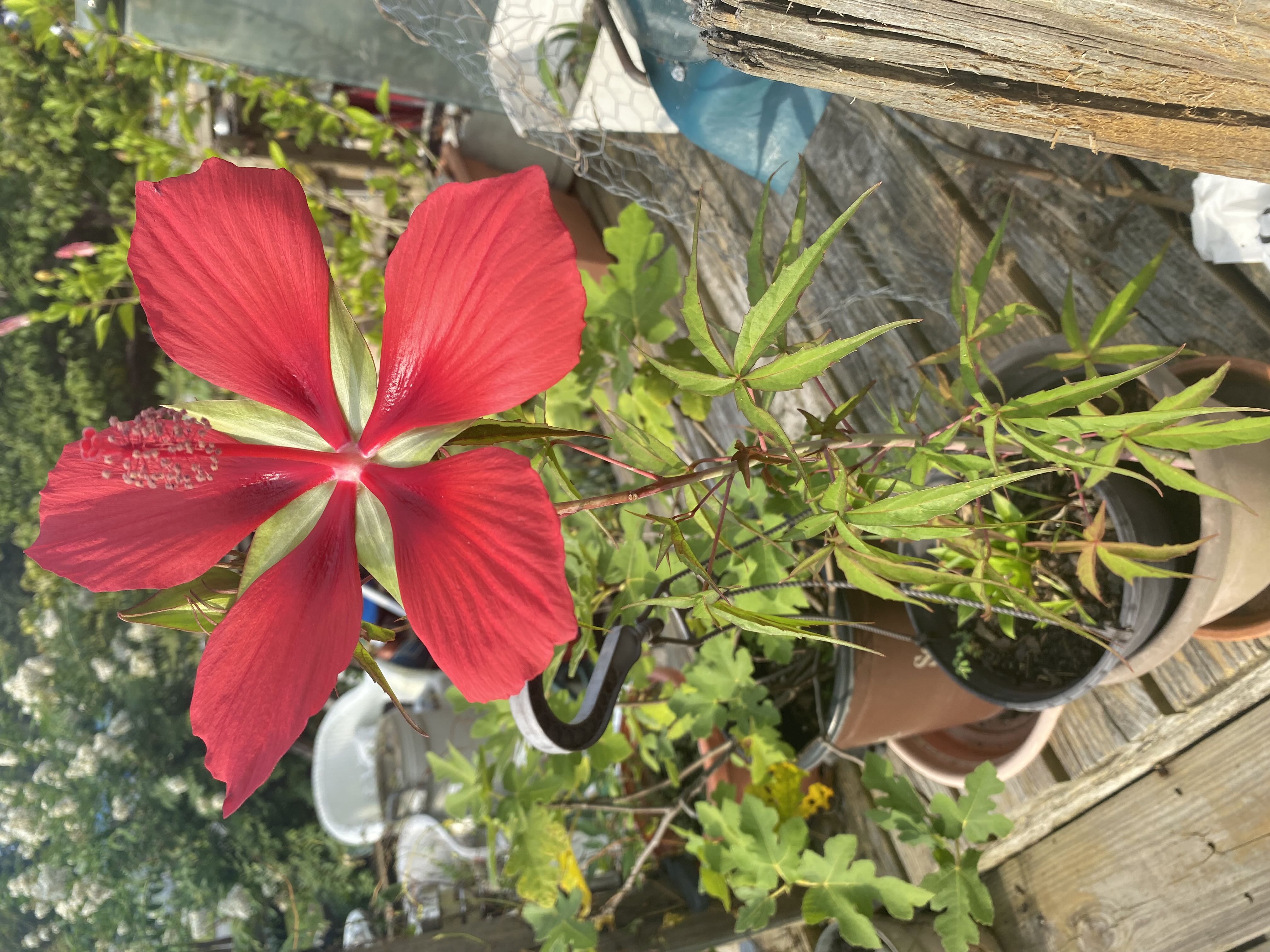 Photo from the post