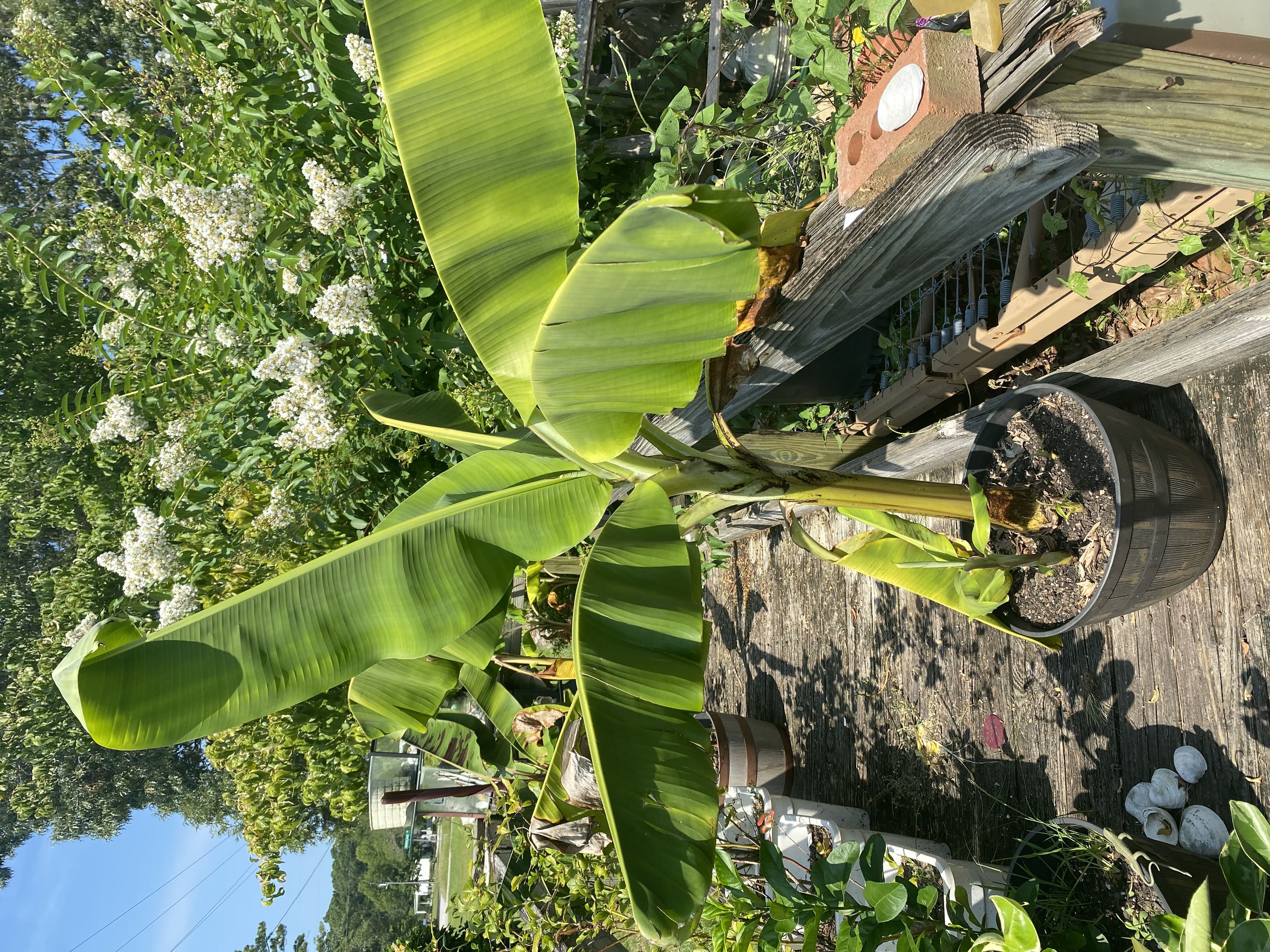 Photo from the post