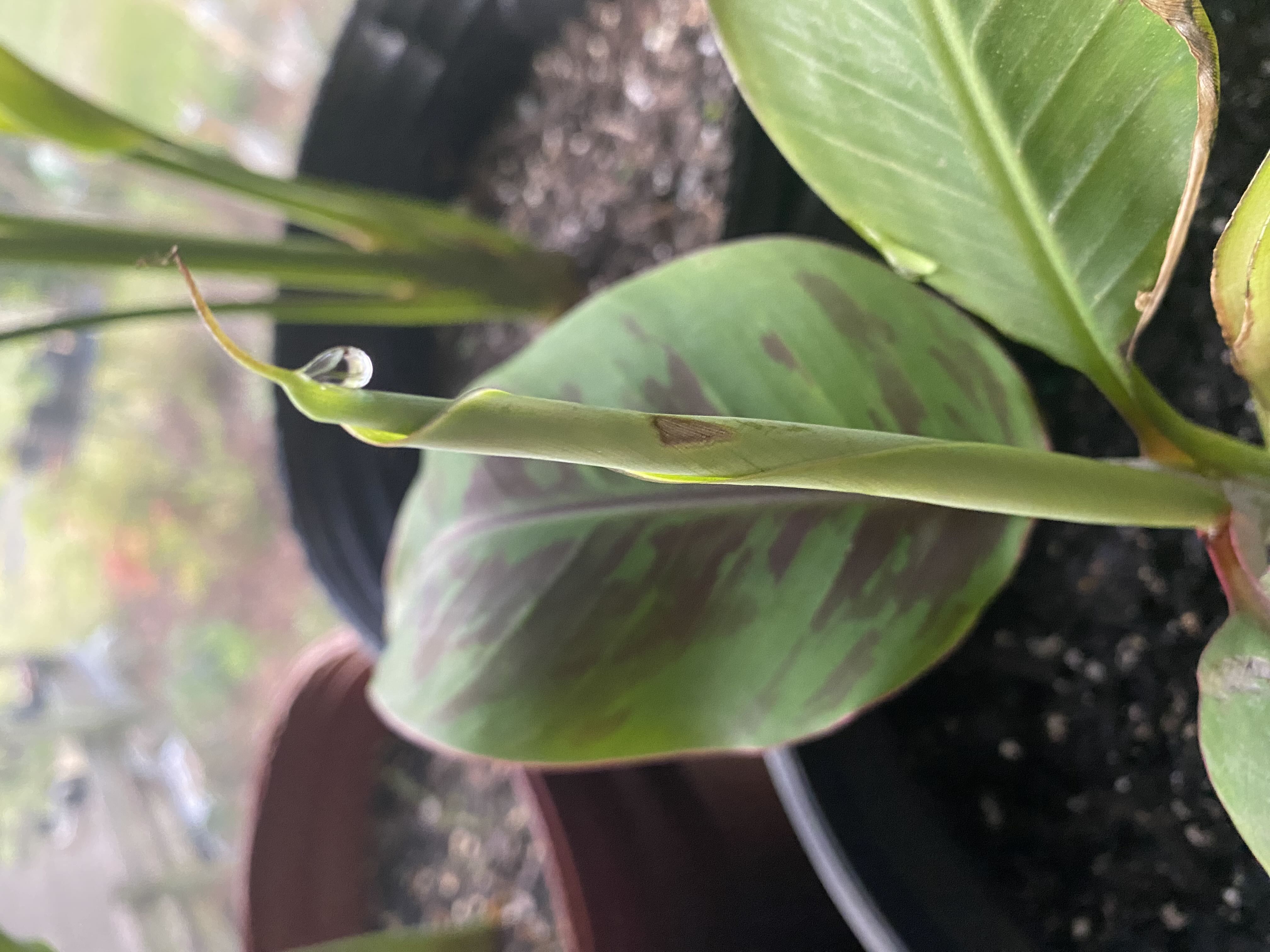 Photo from the post
