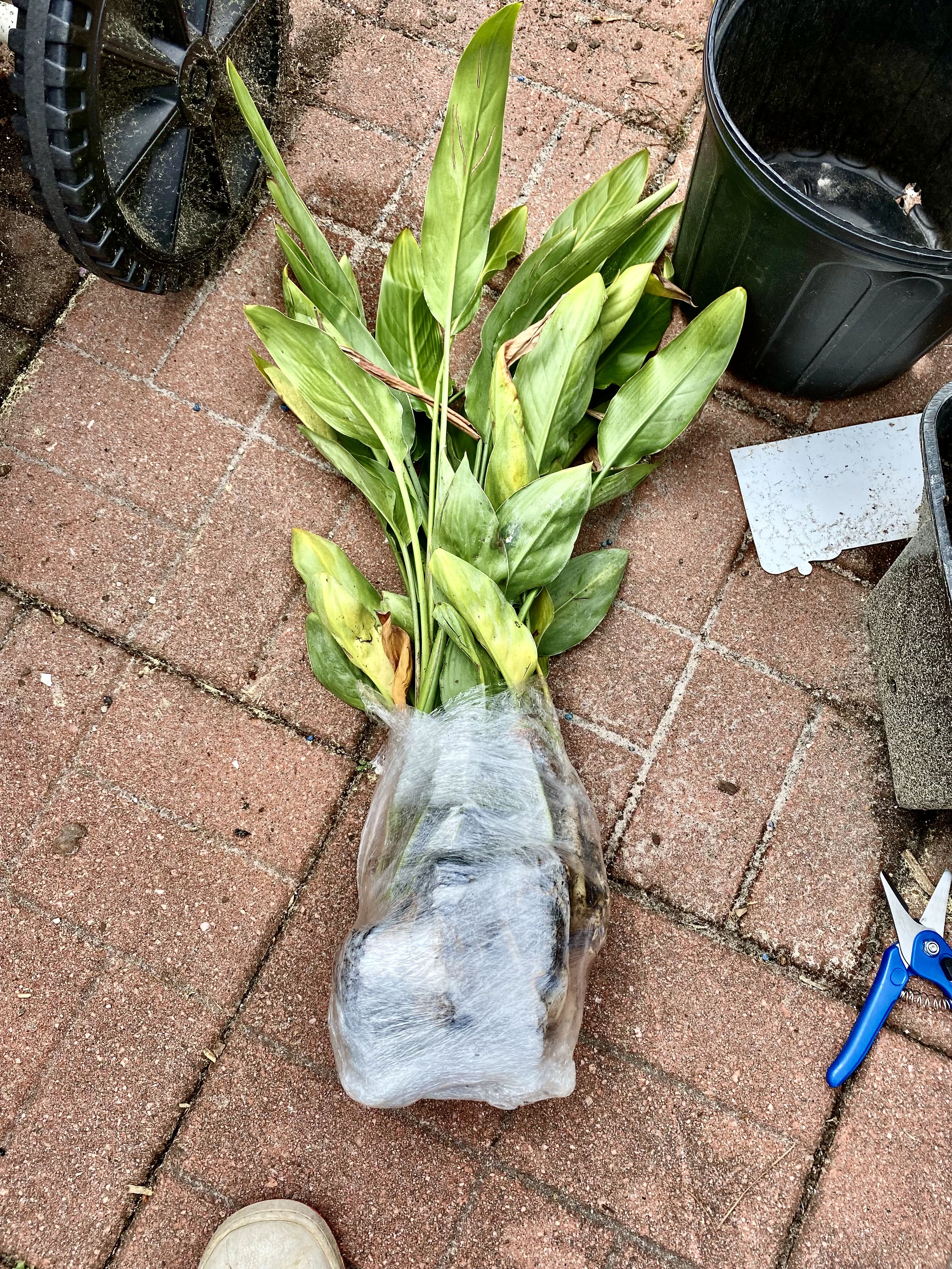 Photo from the post