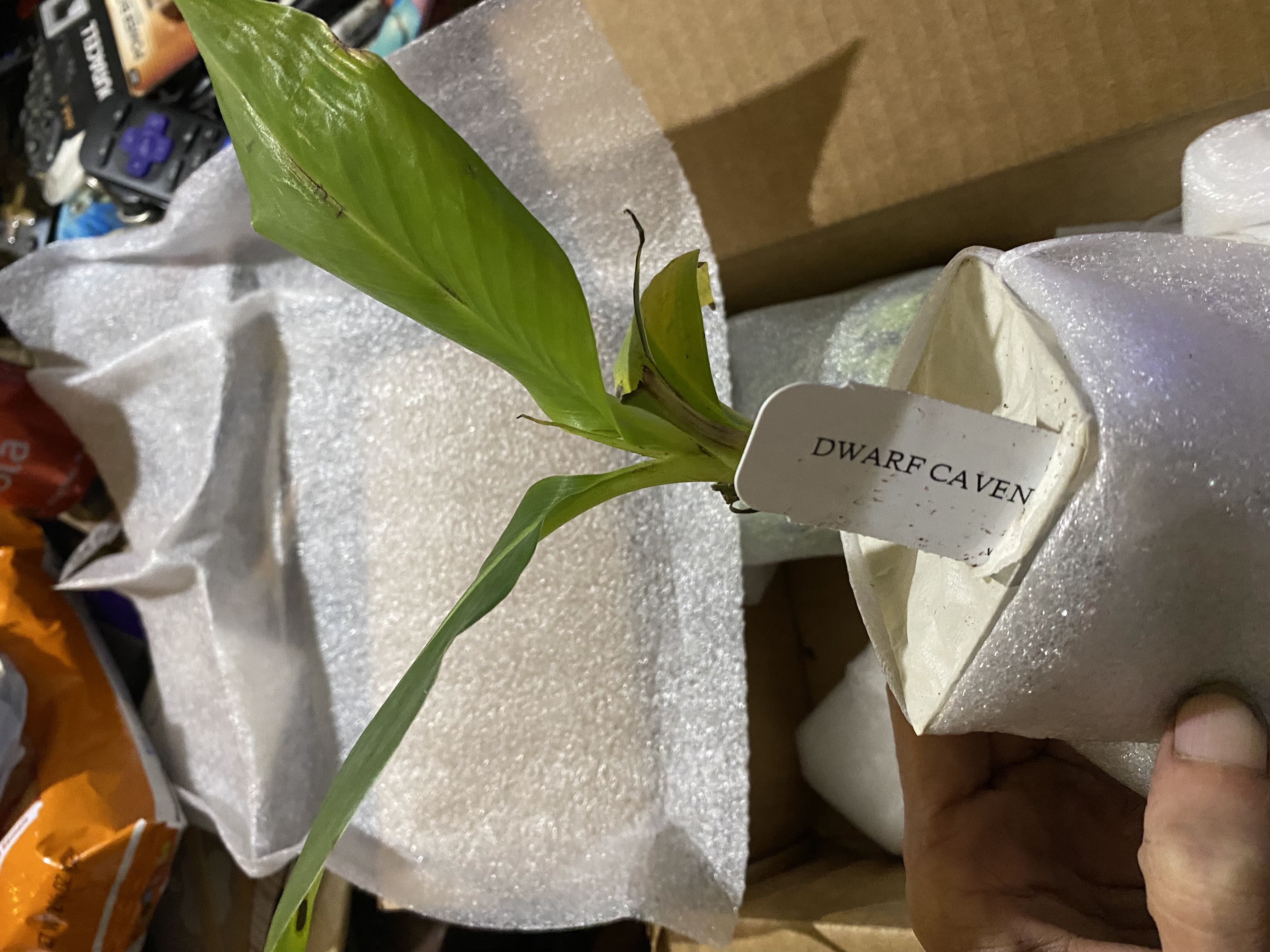 Photo from the post
