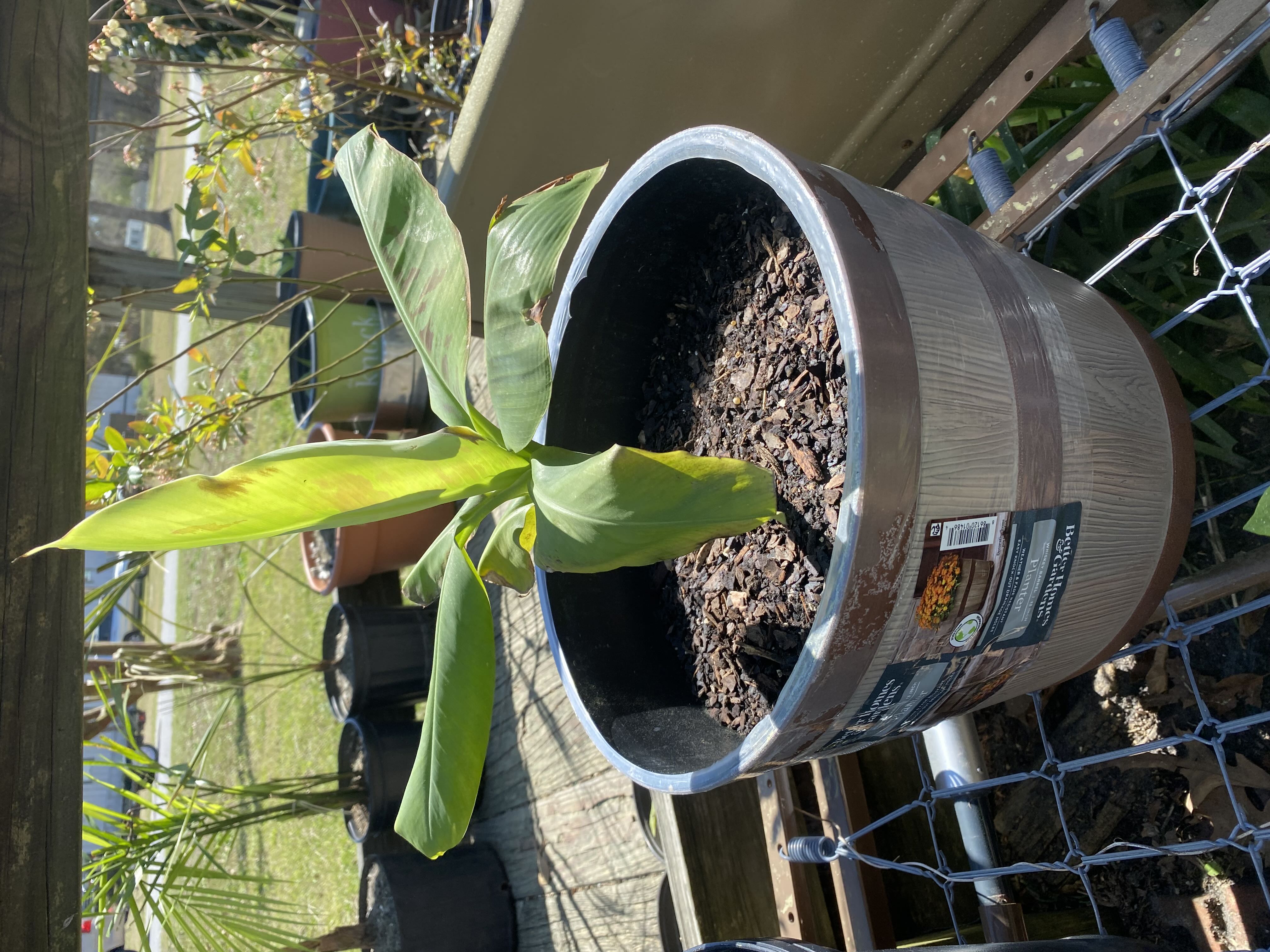 Photo from the post