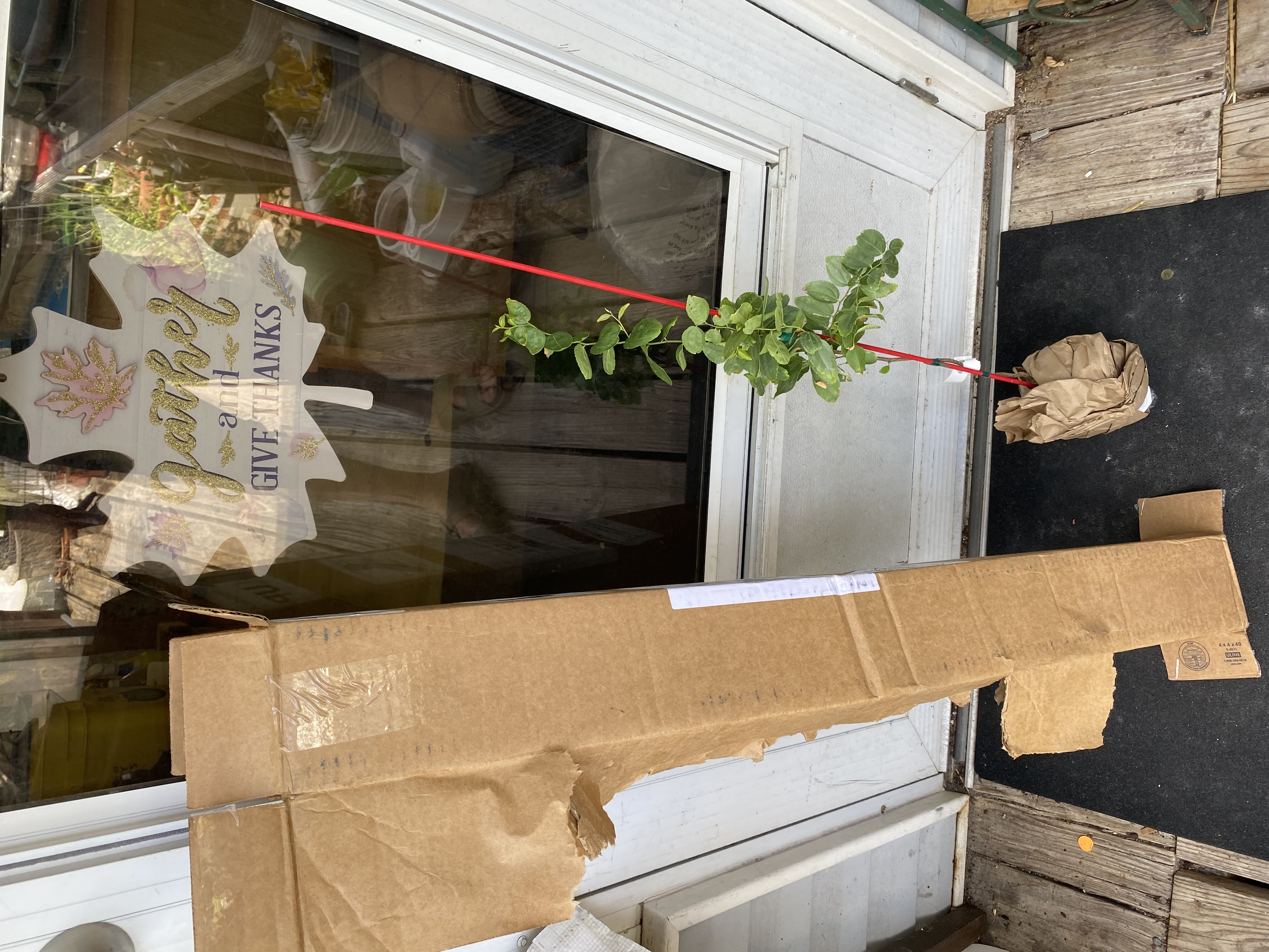 Photo from the post