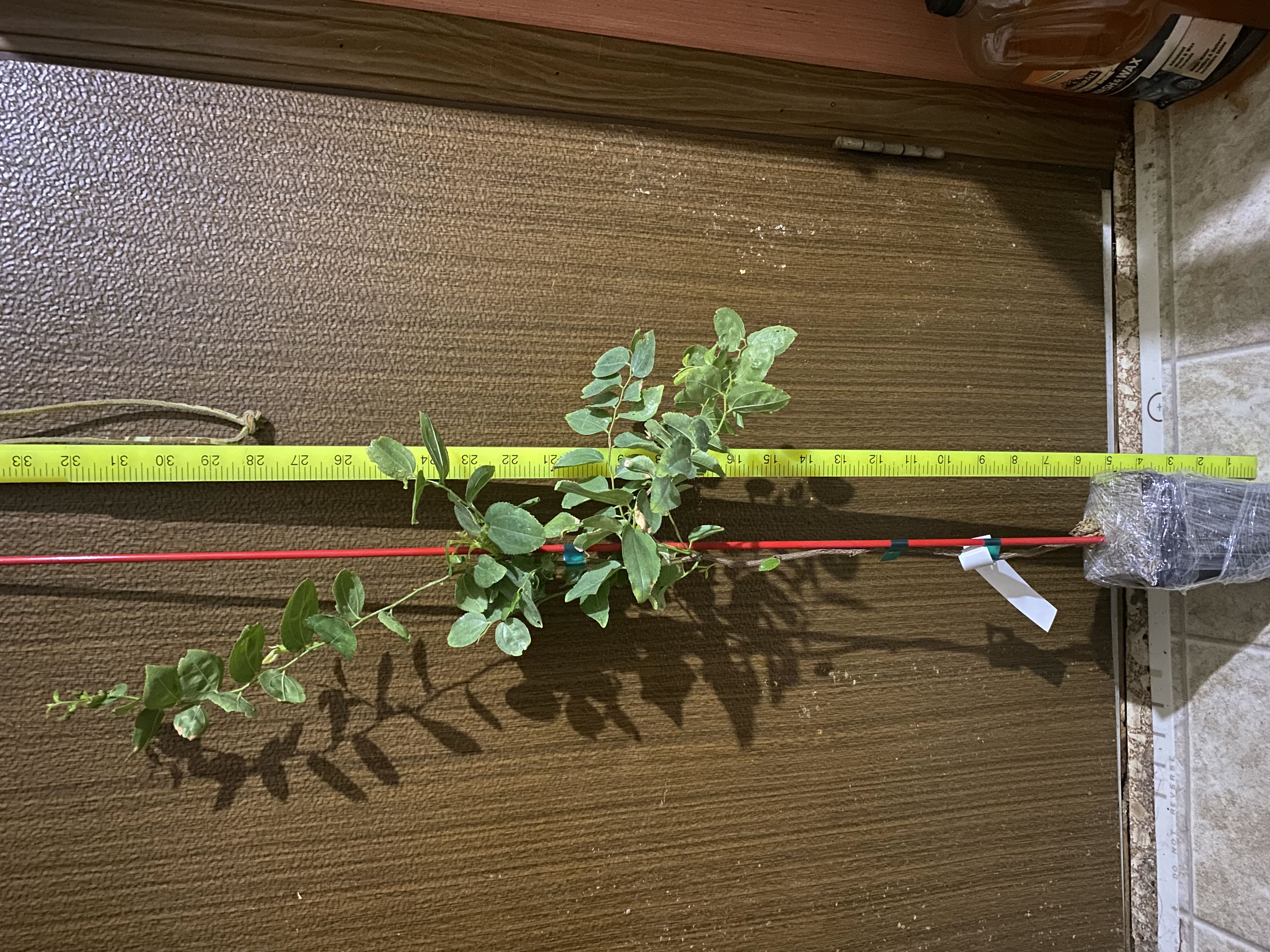 Photo from the post