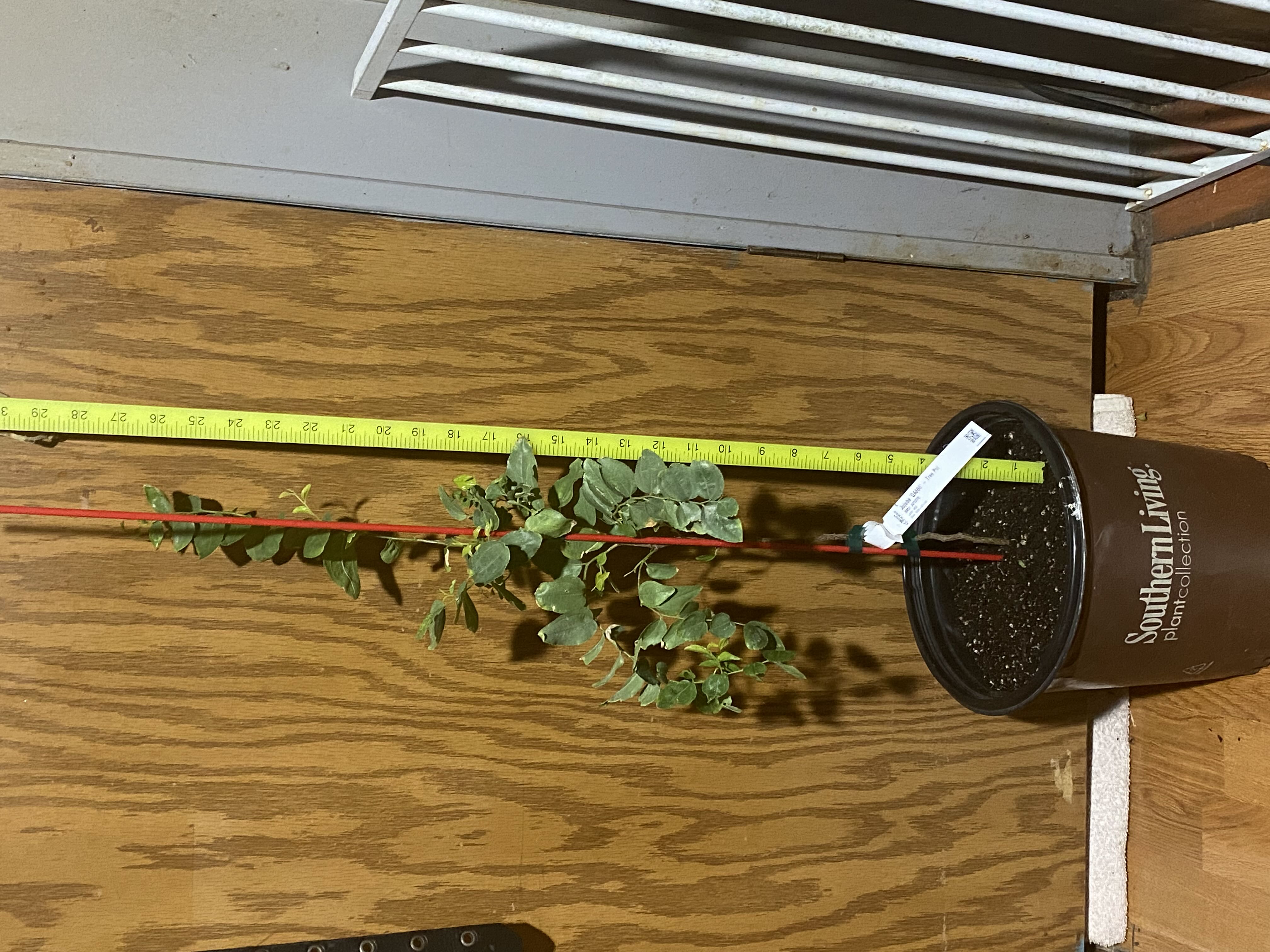 Photo from the post