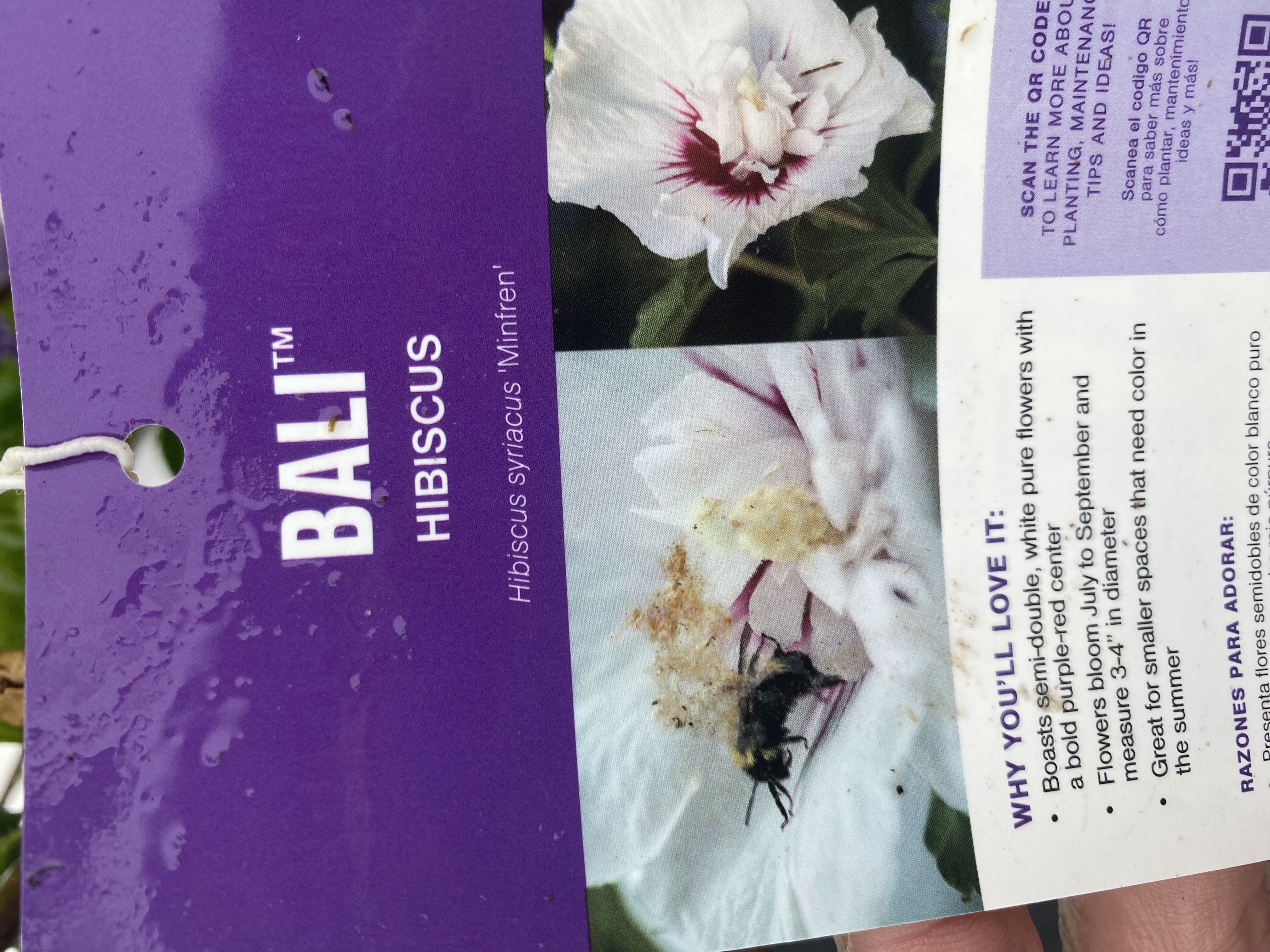 Photo from the post
