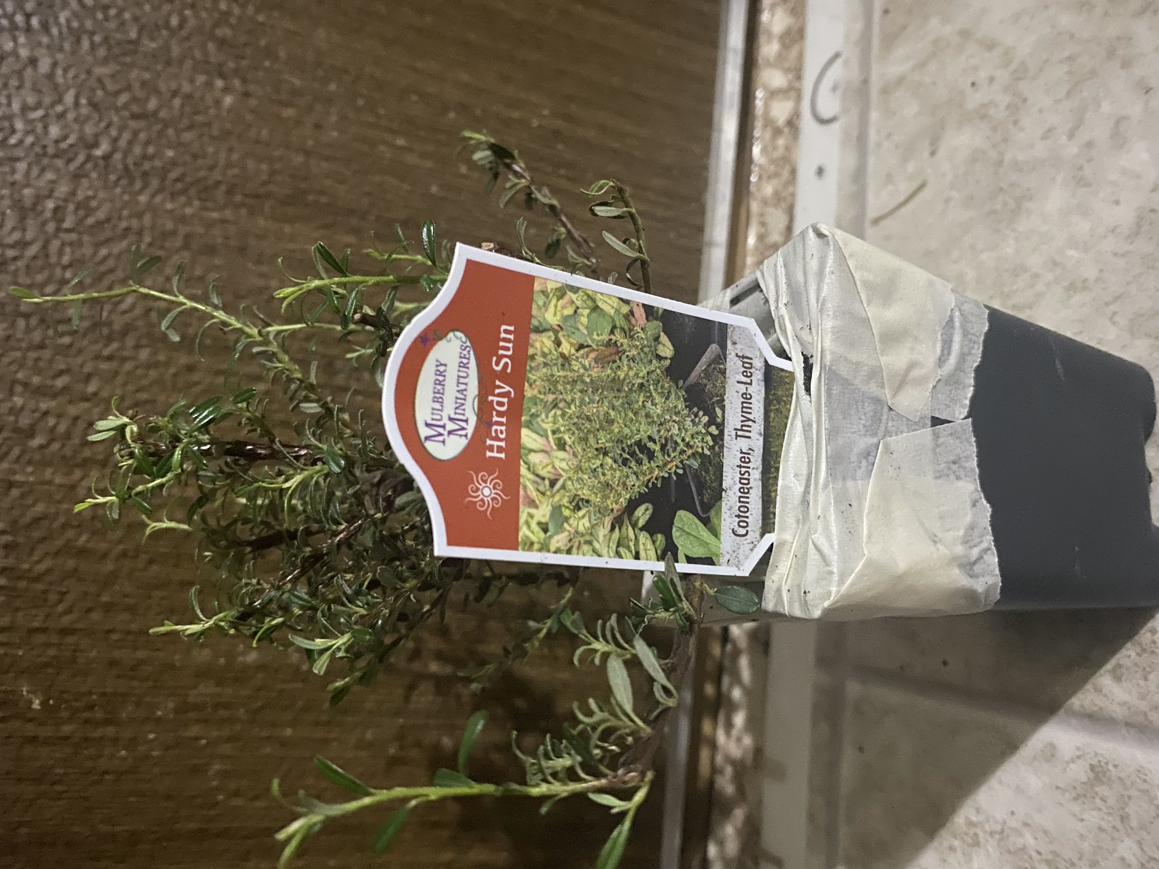Photo from the post