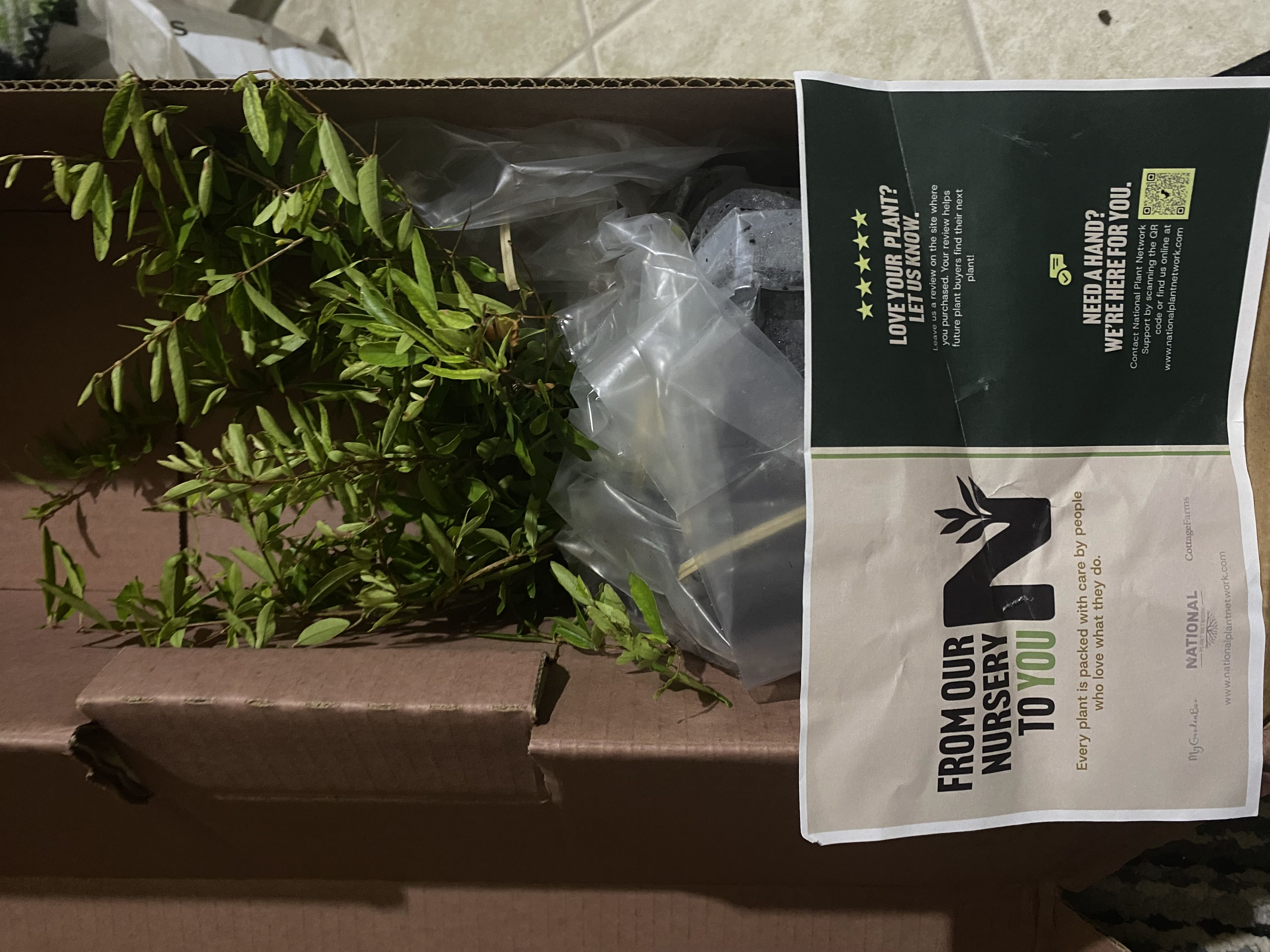 Photo from the post