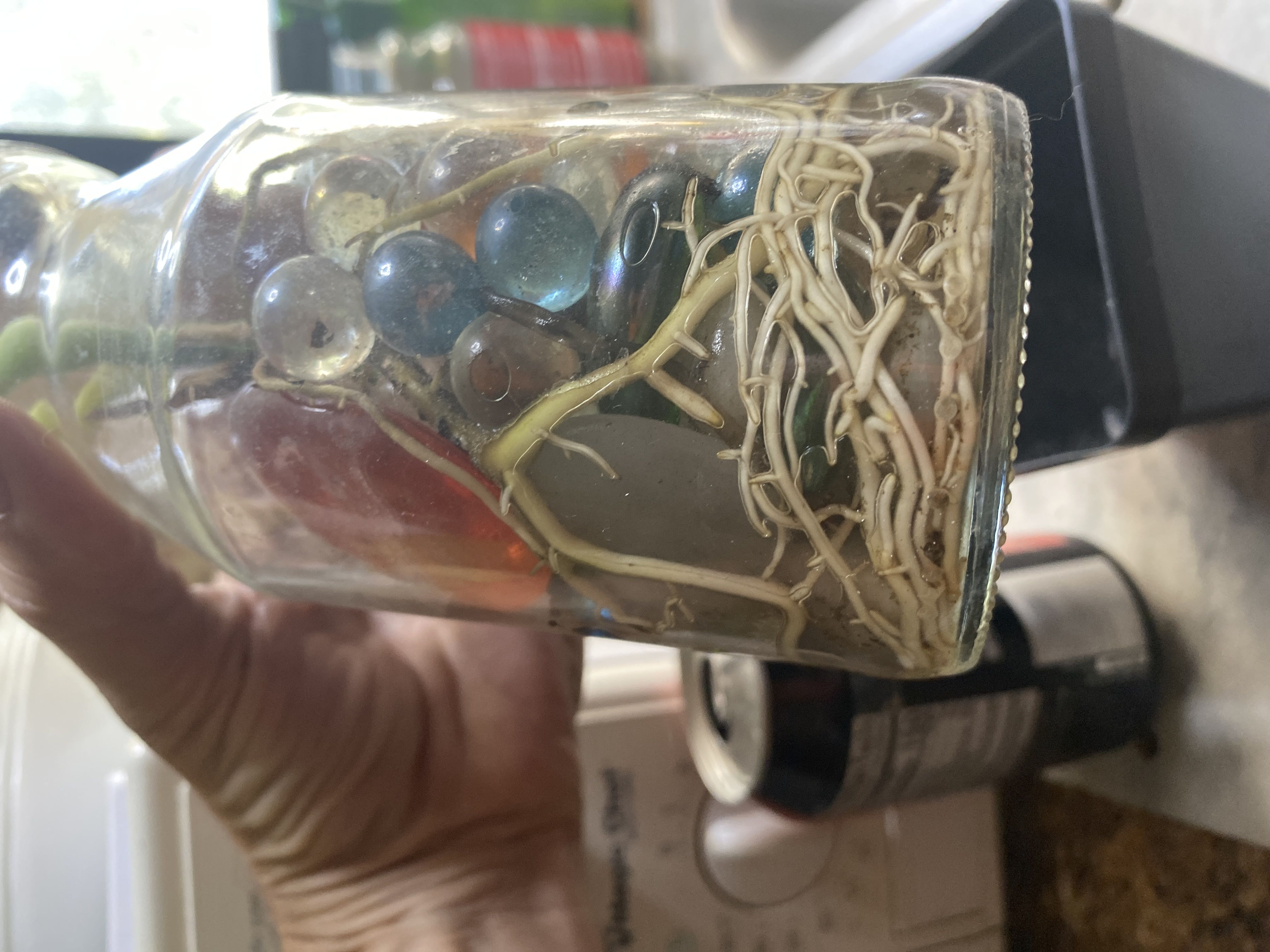 Photo from the post