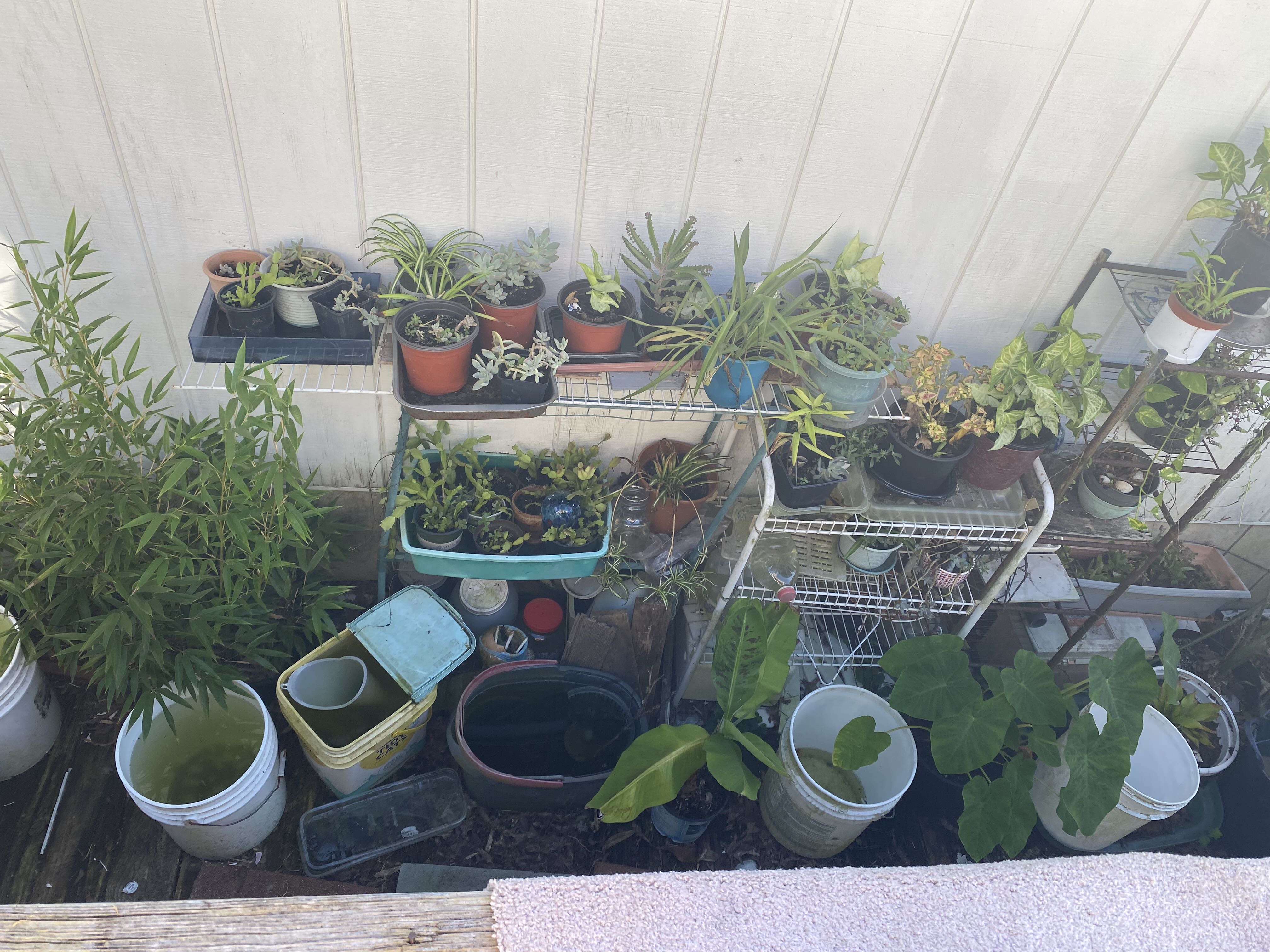 Photo from the post
