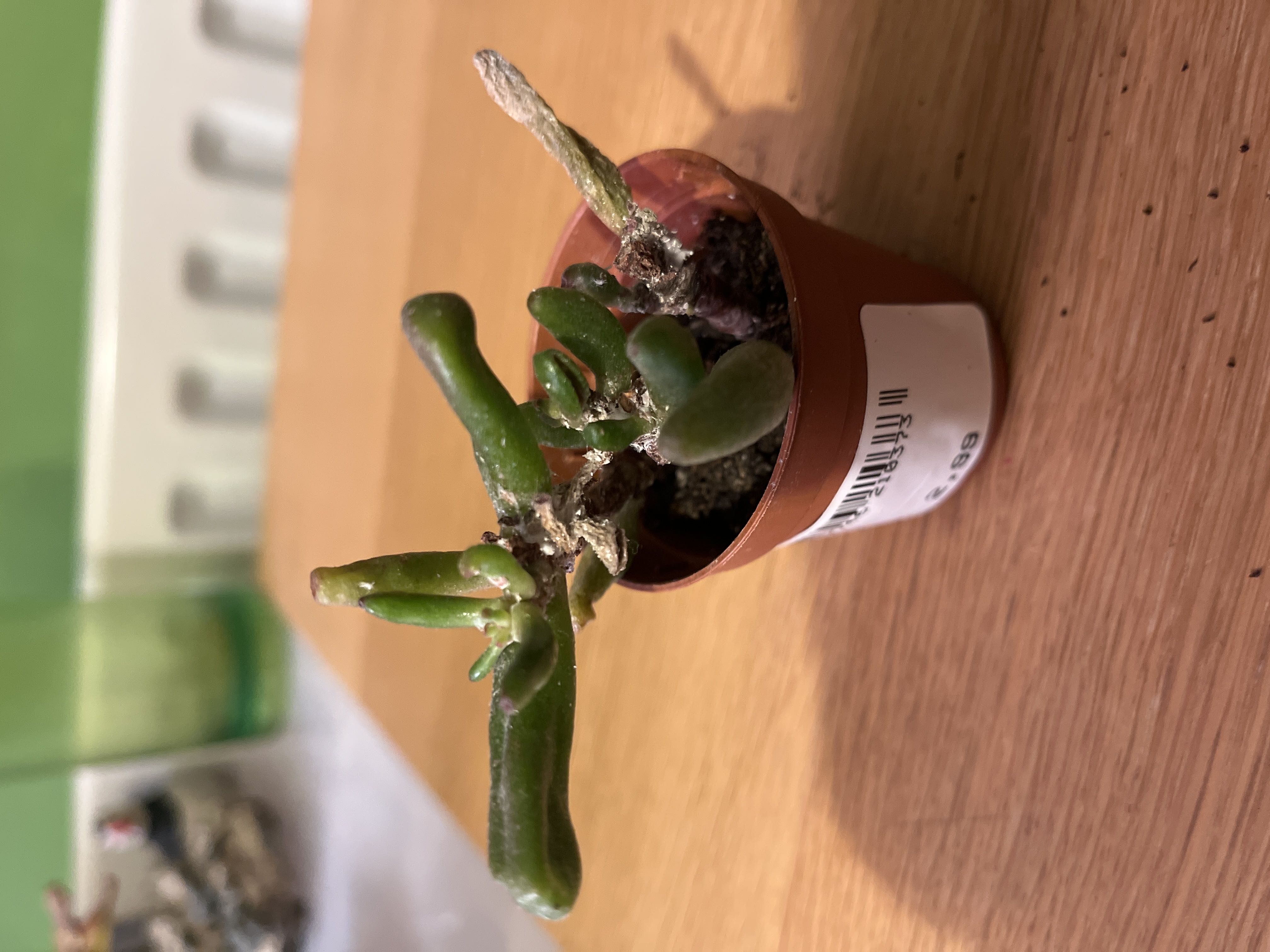 Photo from the post