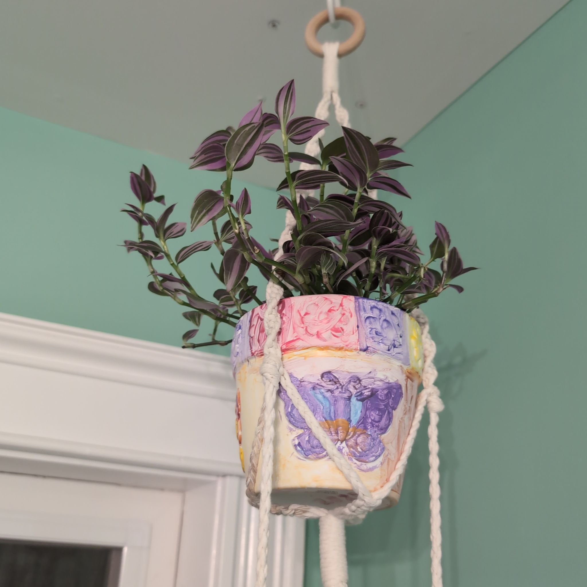 Photo of the plant species Inch Plant by @Ribbondracaena named Wandering dude (master bath) on Greg, the plant care app