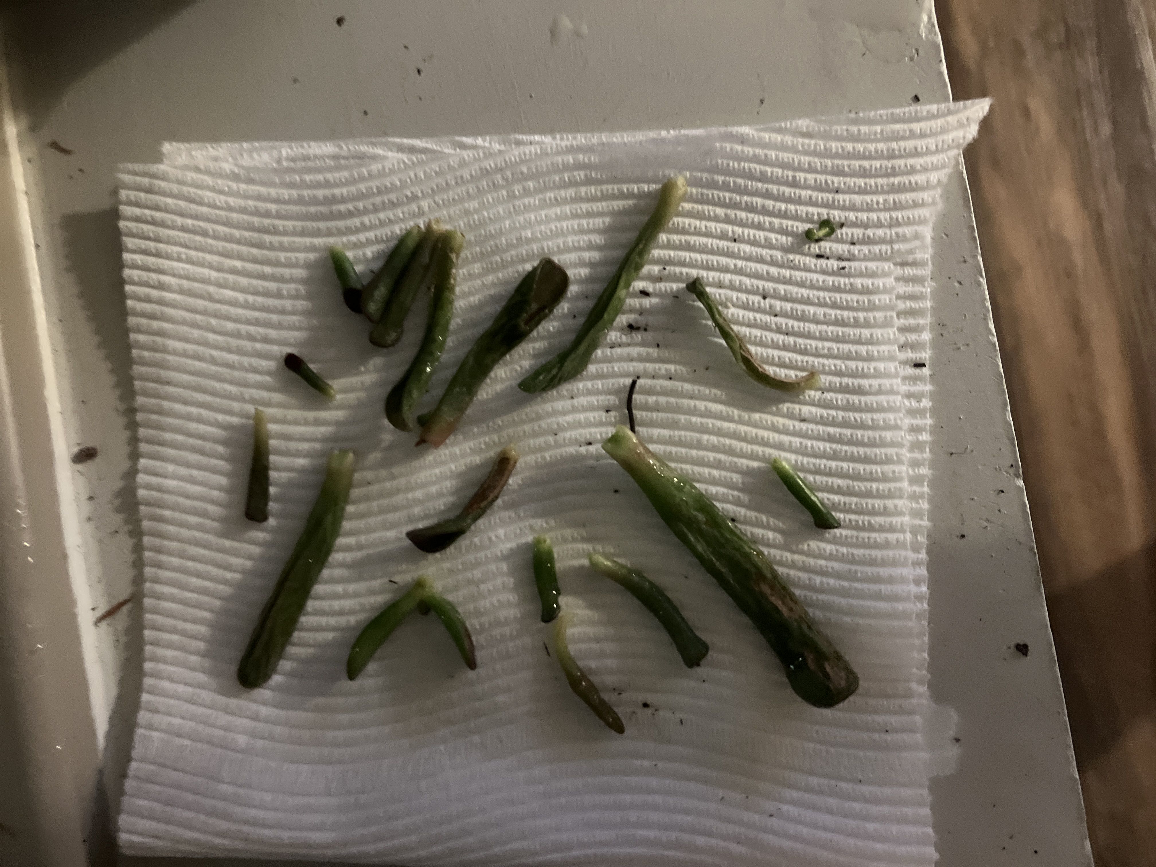 Photo from the post