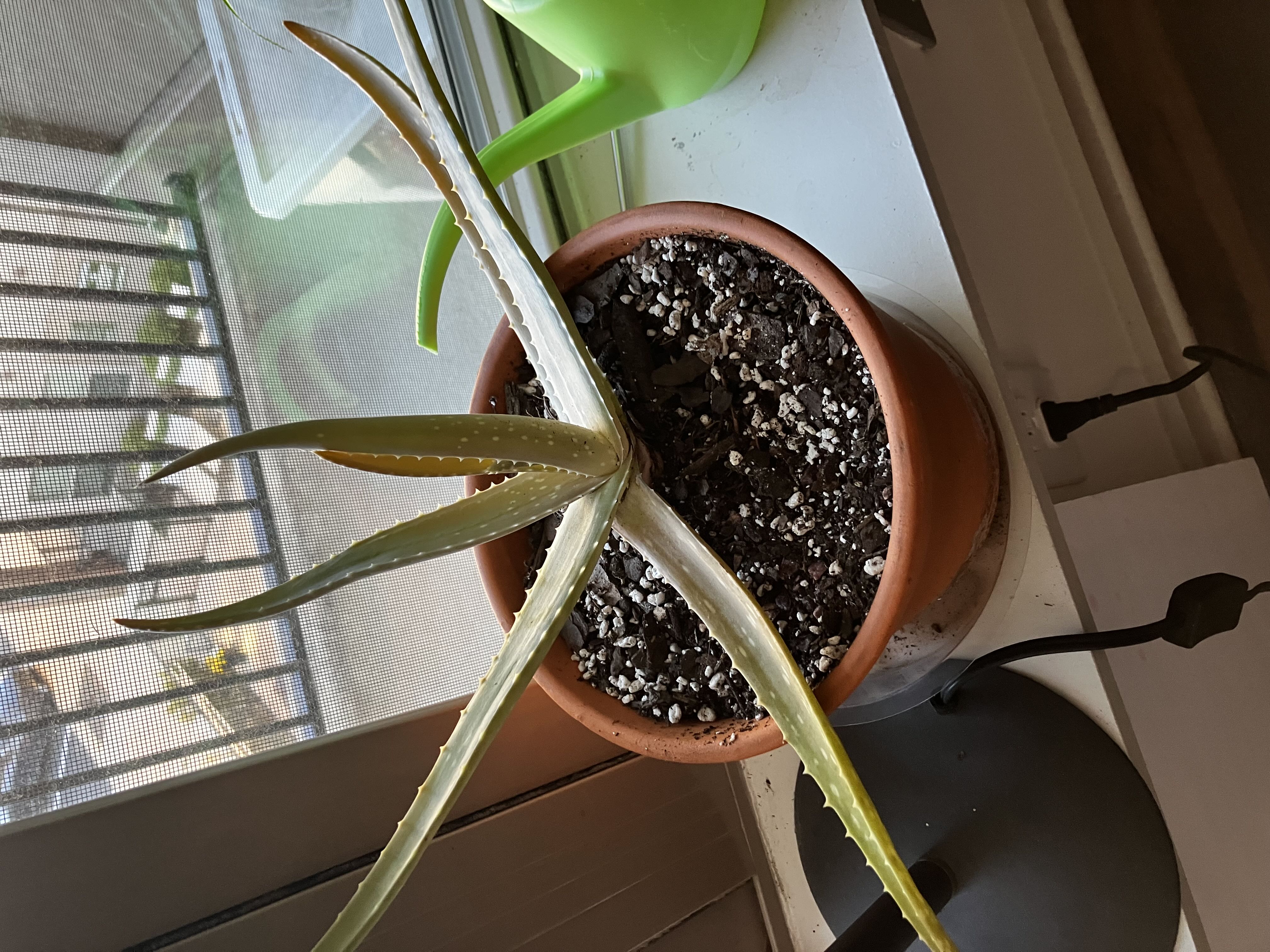 Photo from the post