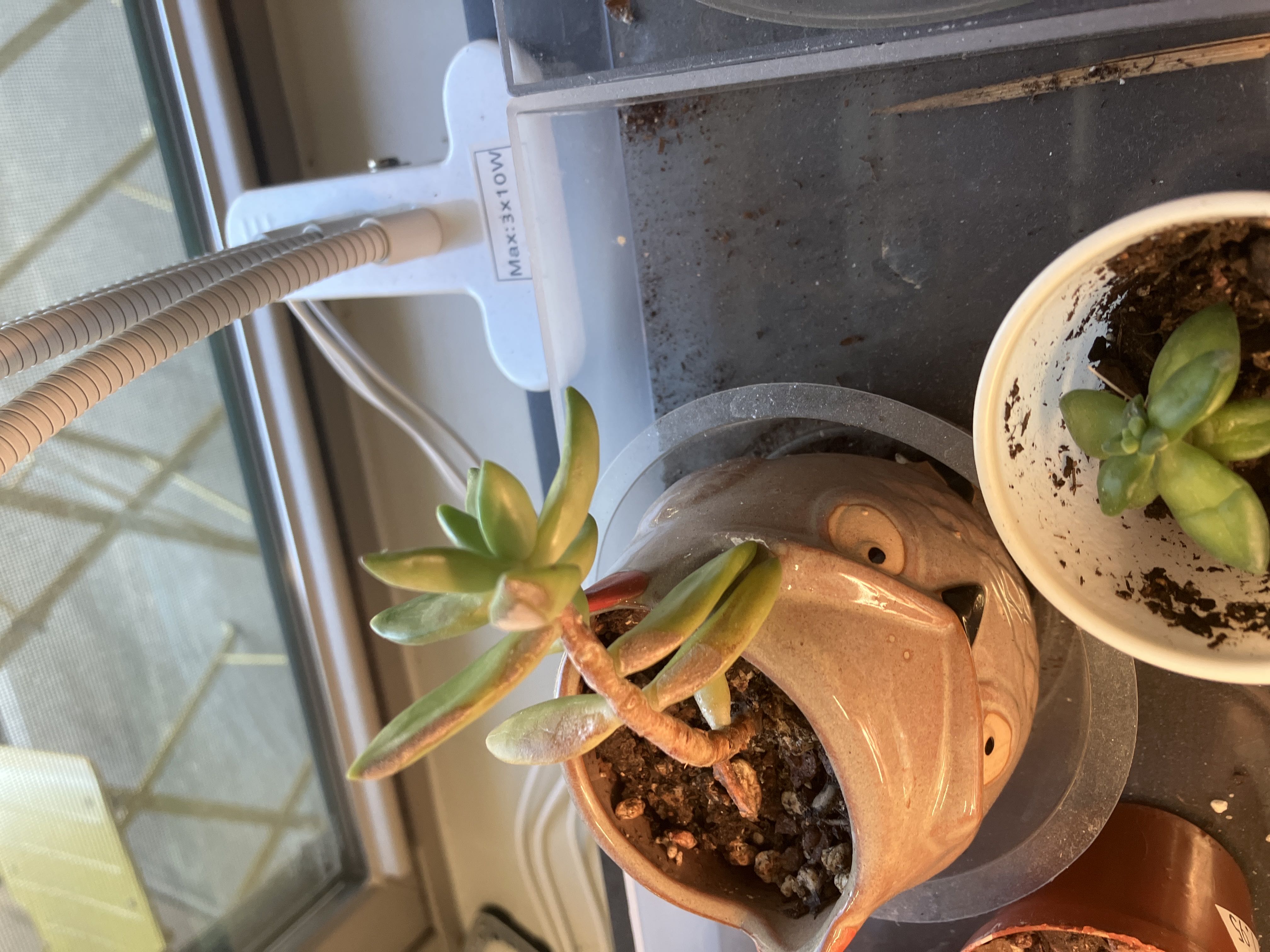 Photo from the post