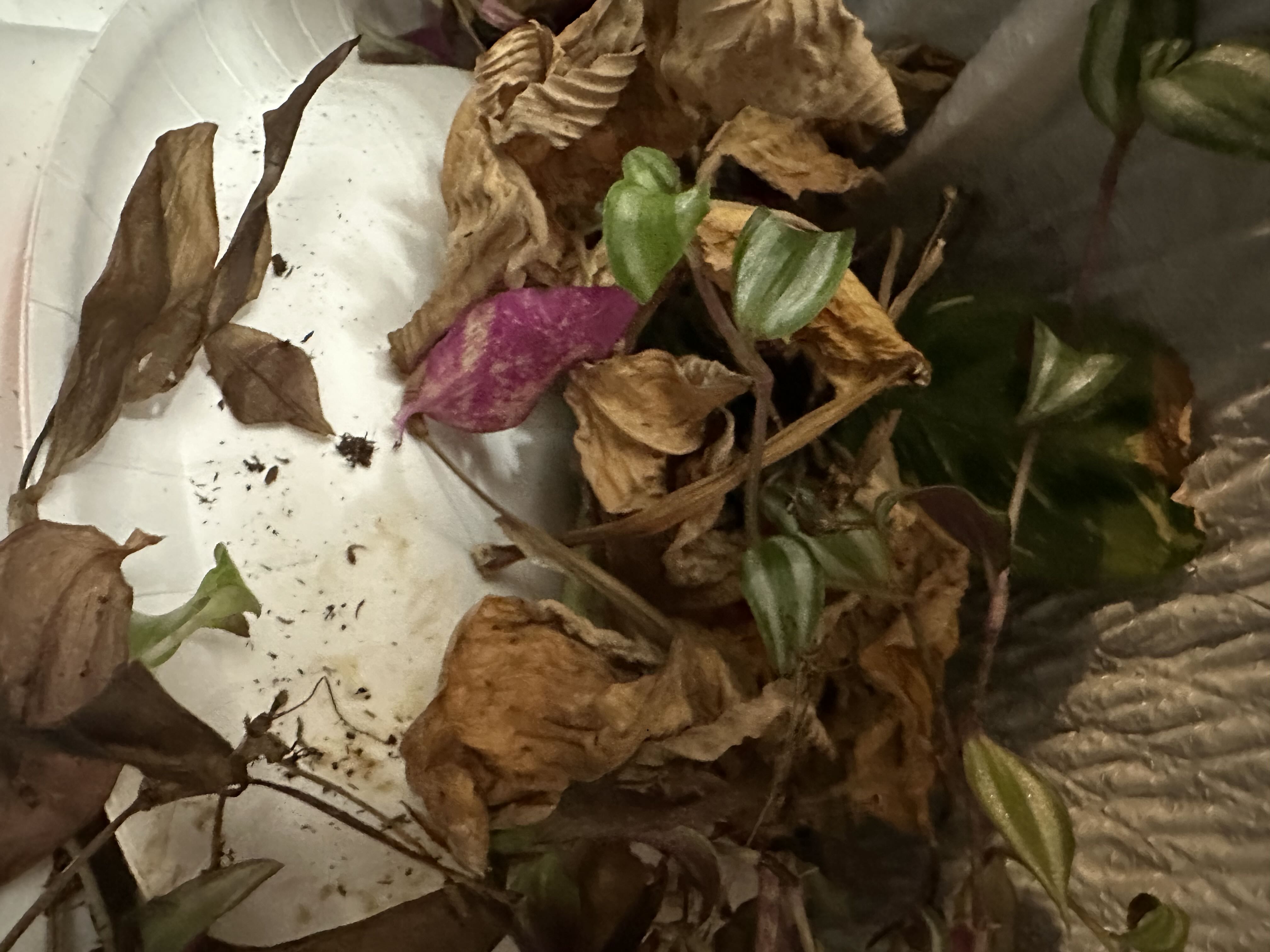 Photo from the post