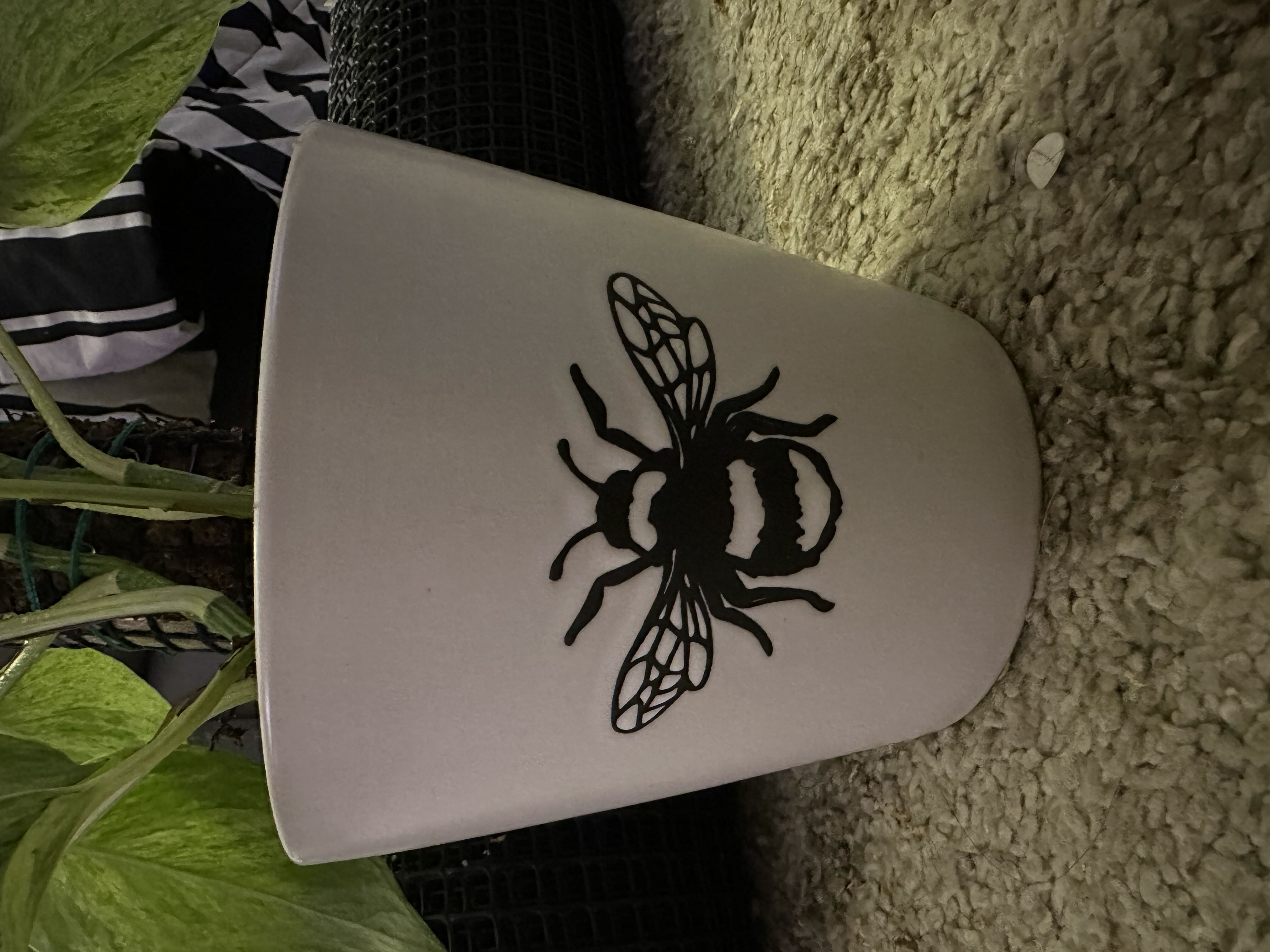 Photo from the post