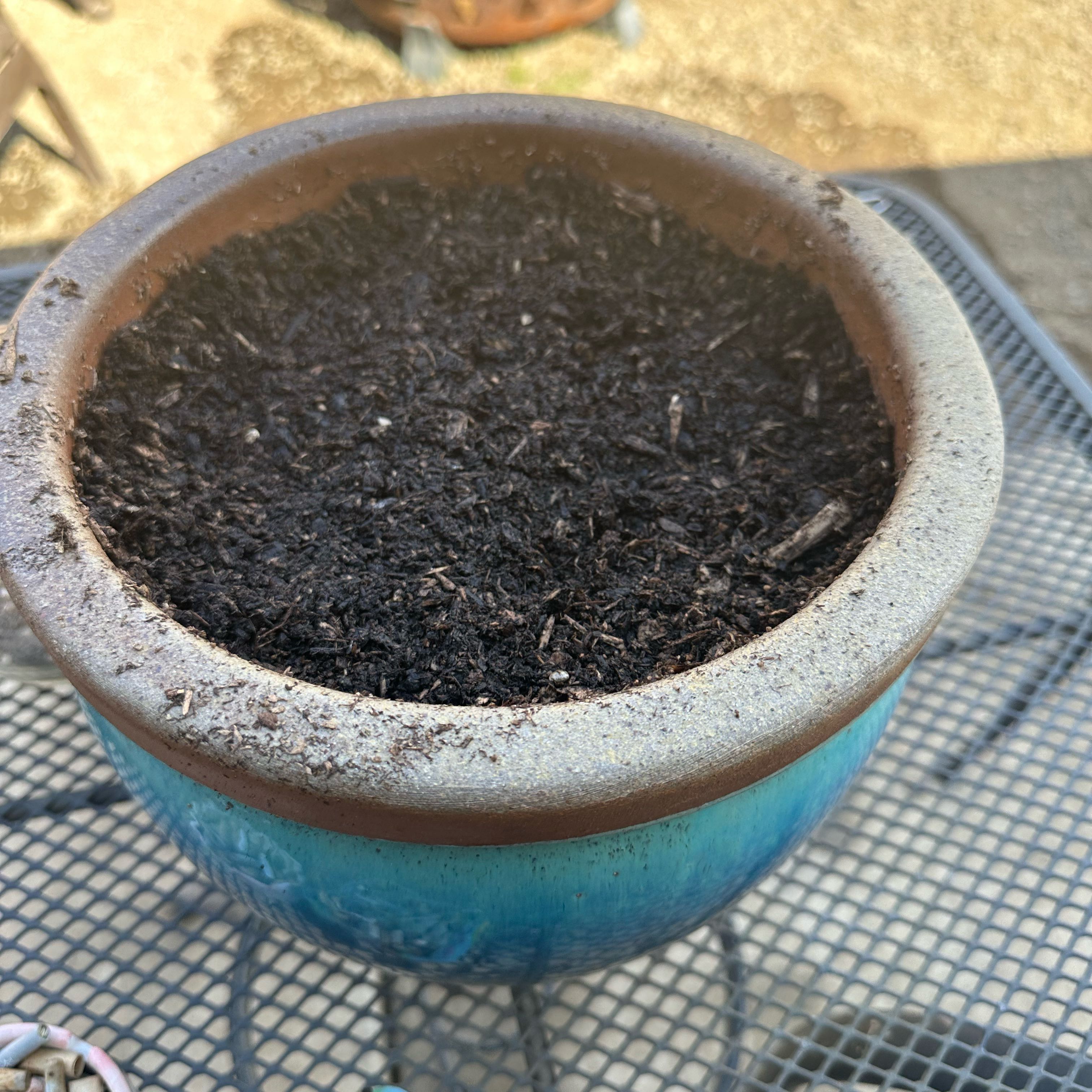 Photo of the plant species Butterfly And Hummingbird Mix by @BogBody named Flower on Greg, the plant care app