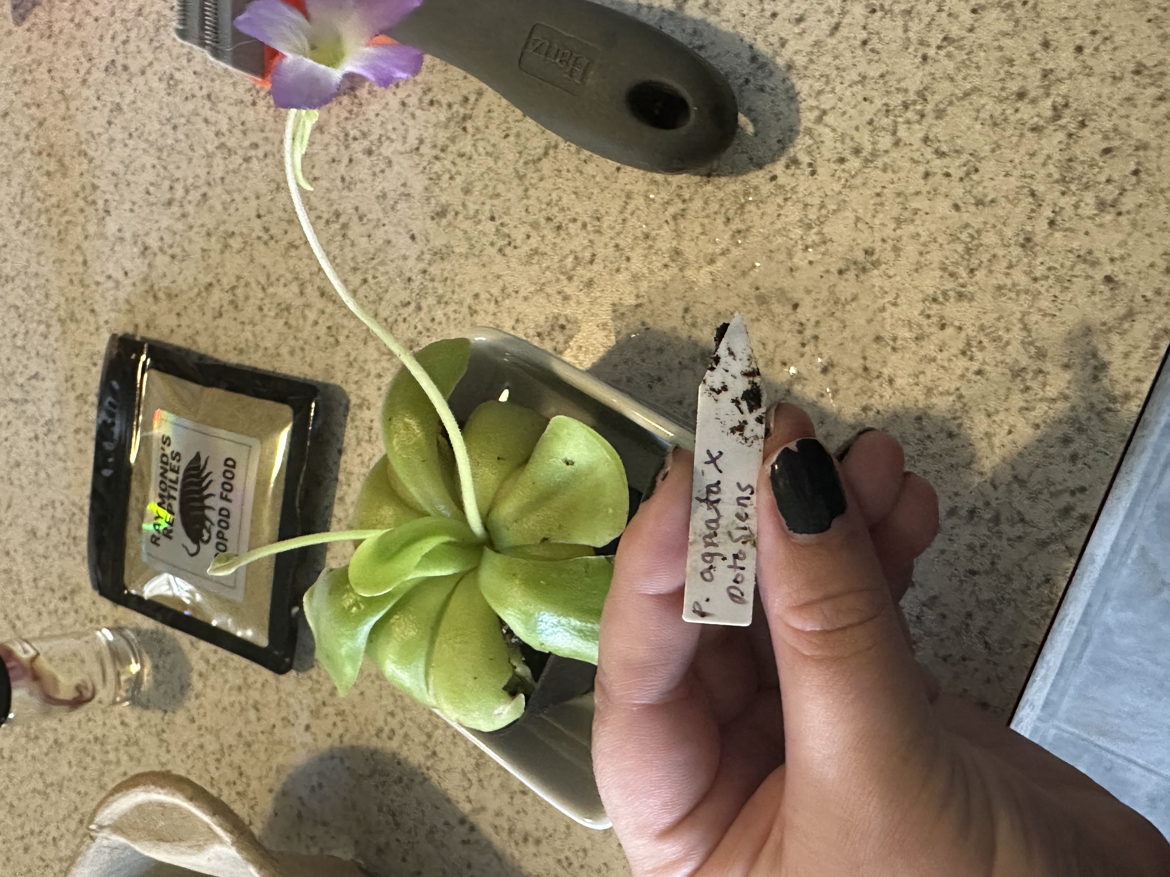 Photo from the post