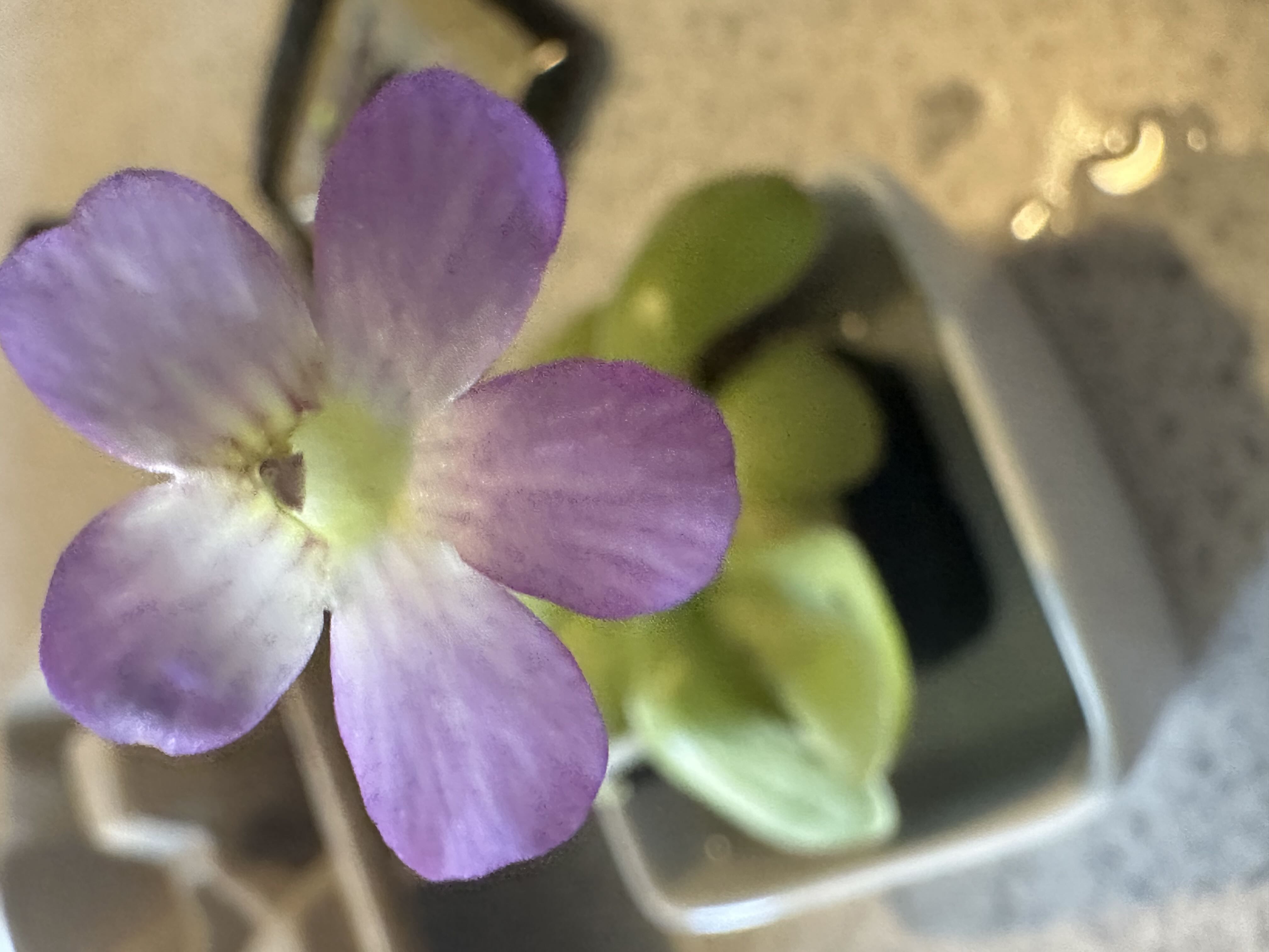 Photo from the post