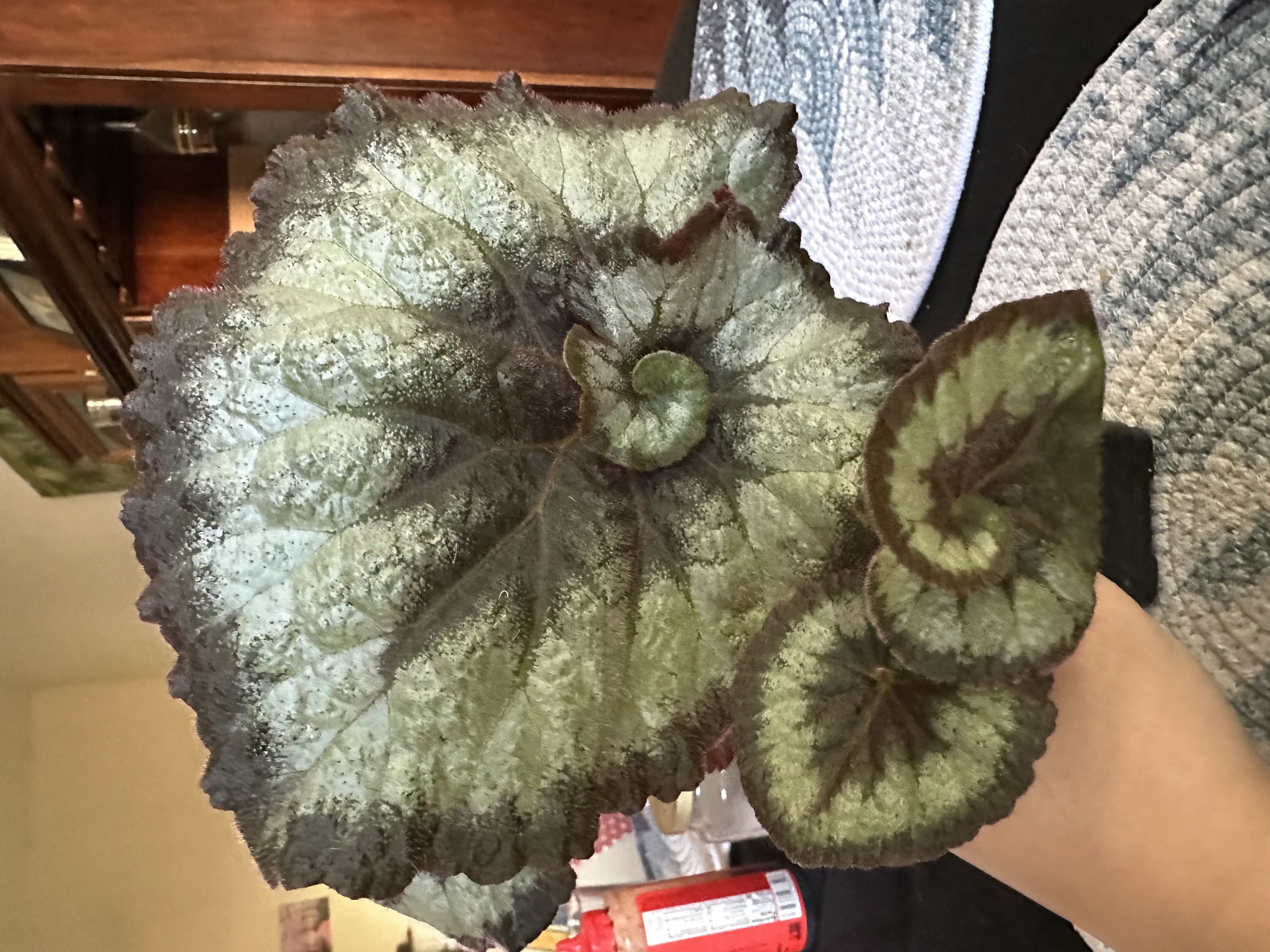Photo from the post