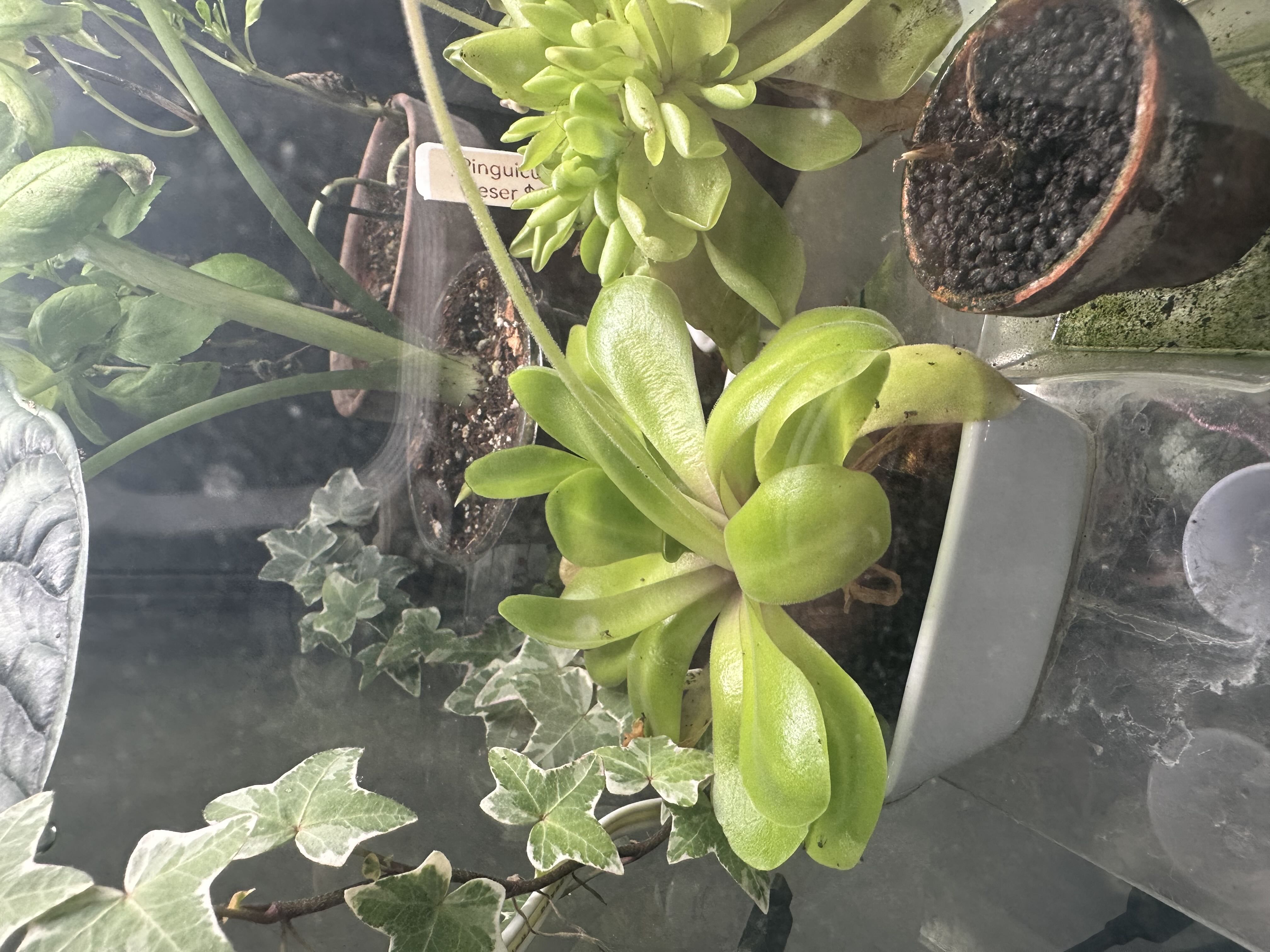 Photo from the post