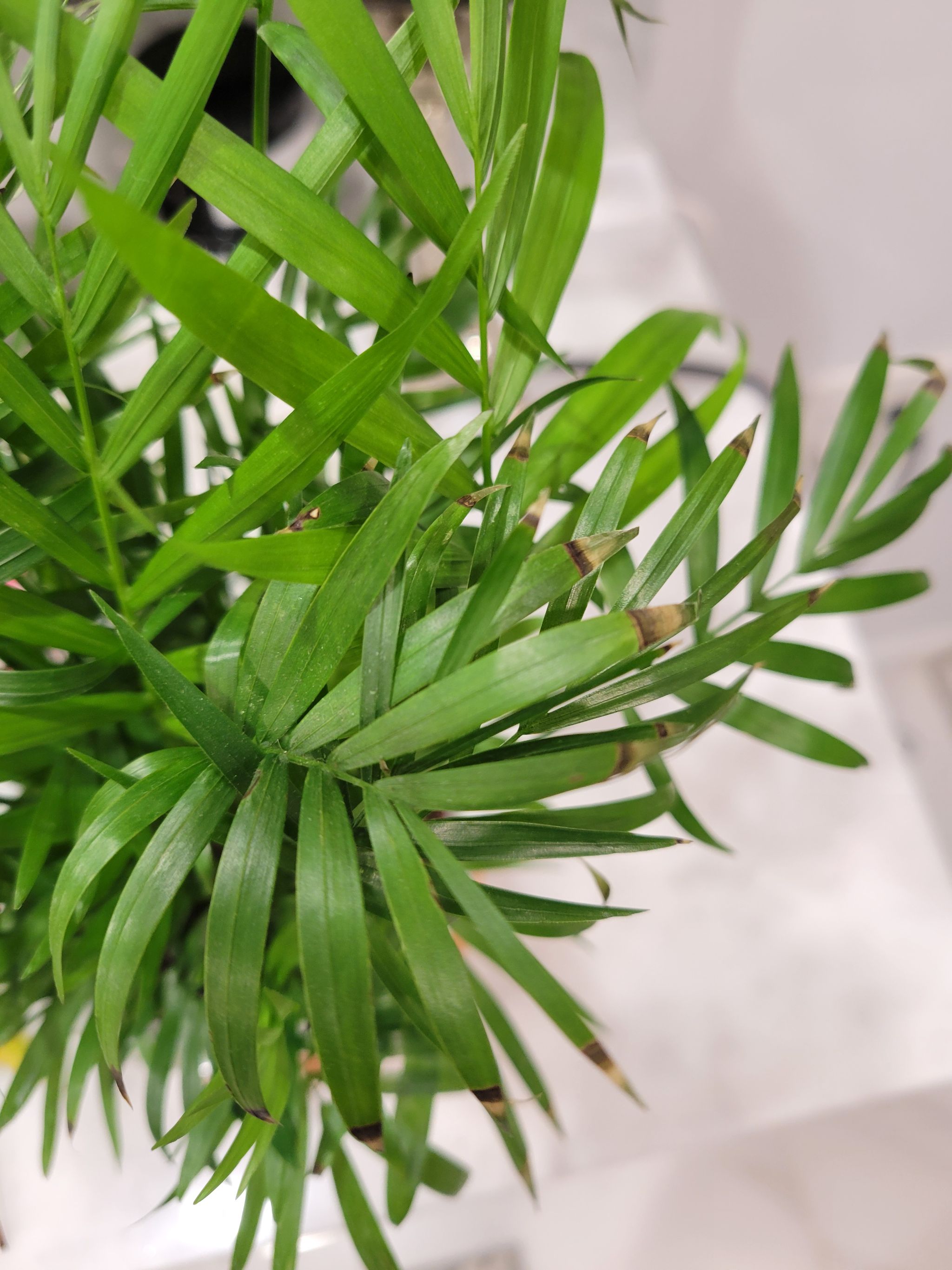 Photo from the post