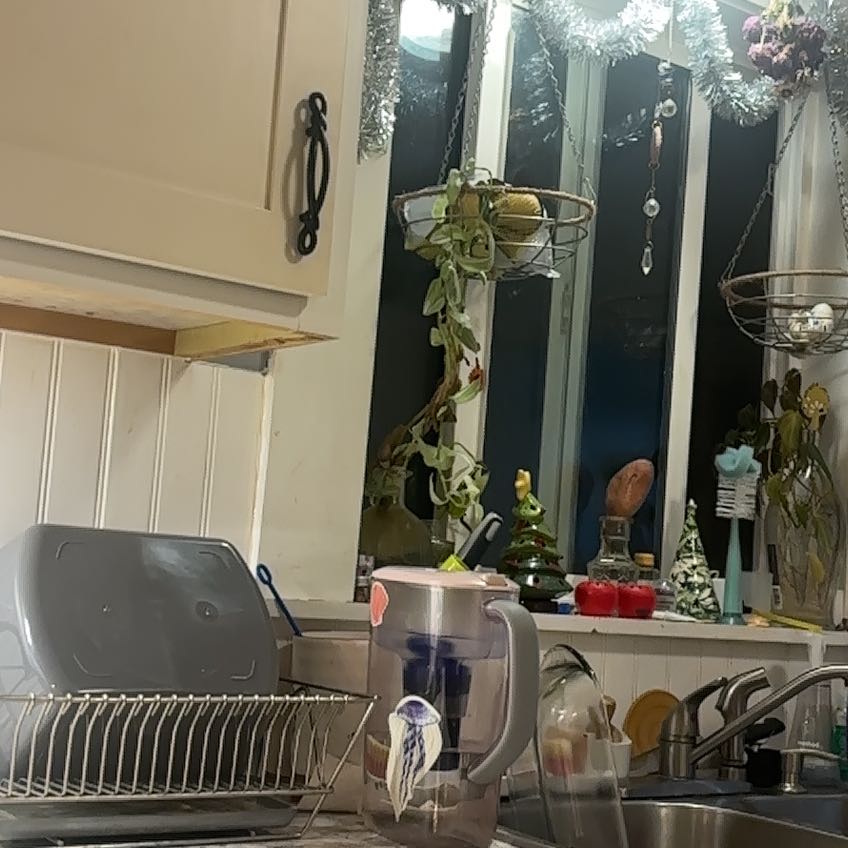 Photo of the plant species Crimsoneyed Rosemallow by @HelperLimetuff named Huckleberry Fern on Greg, the plant care app