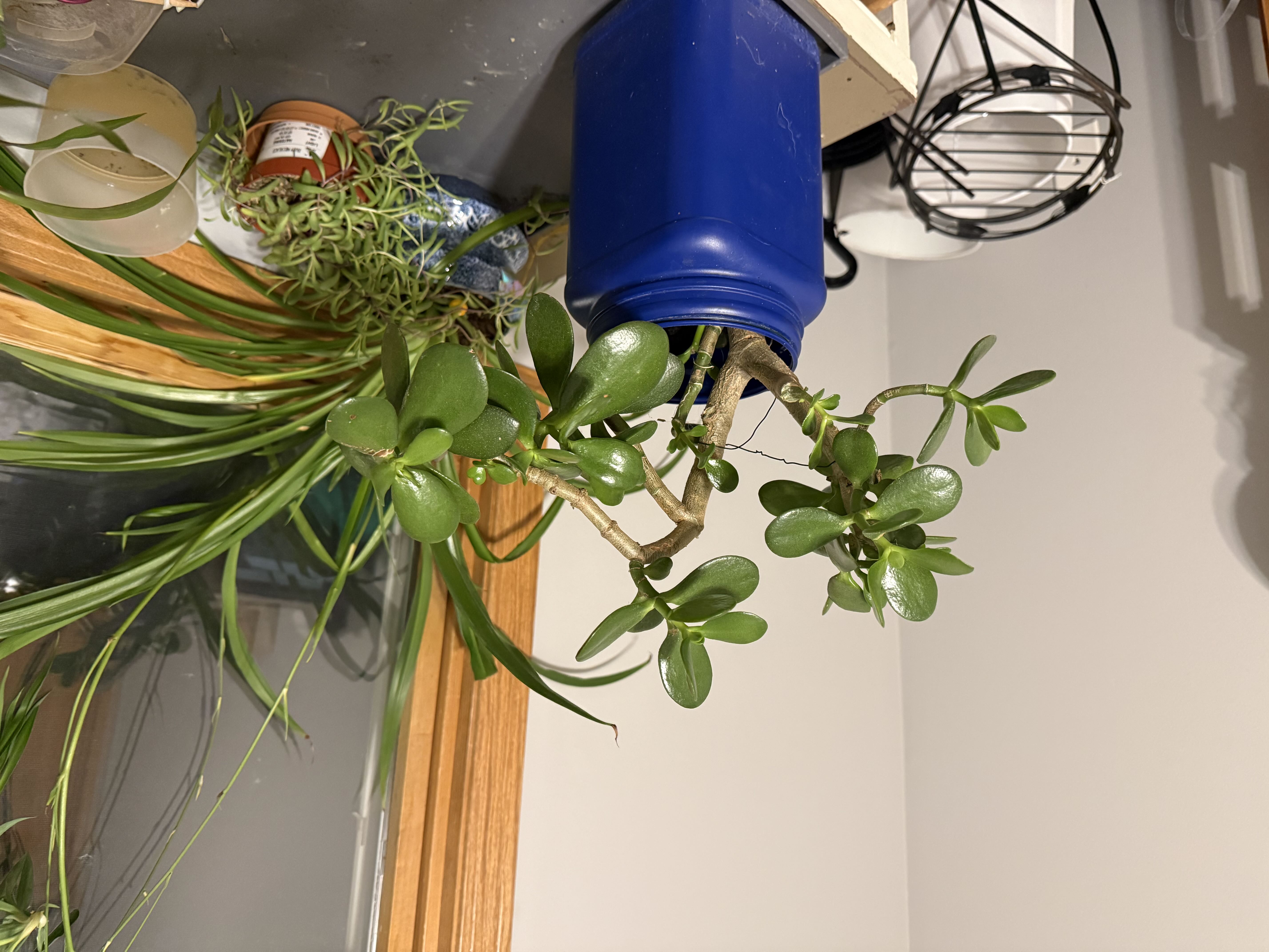 Photo from the post
