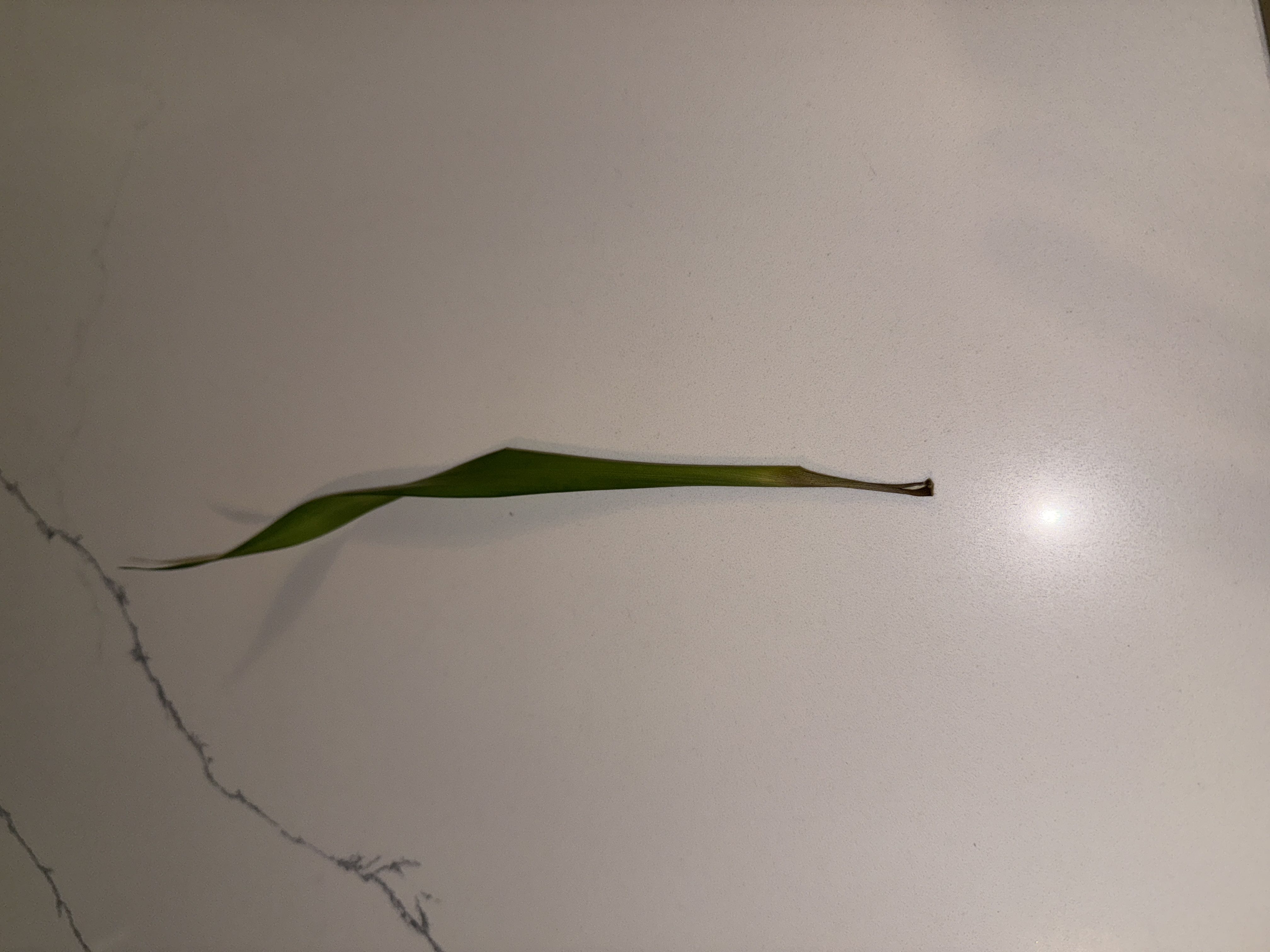 Photo from the post