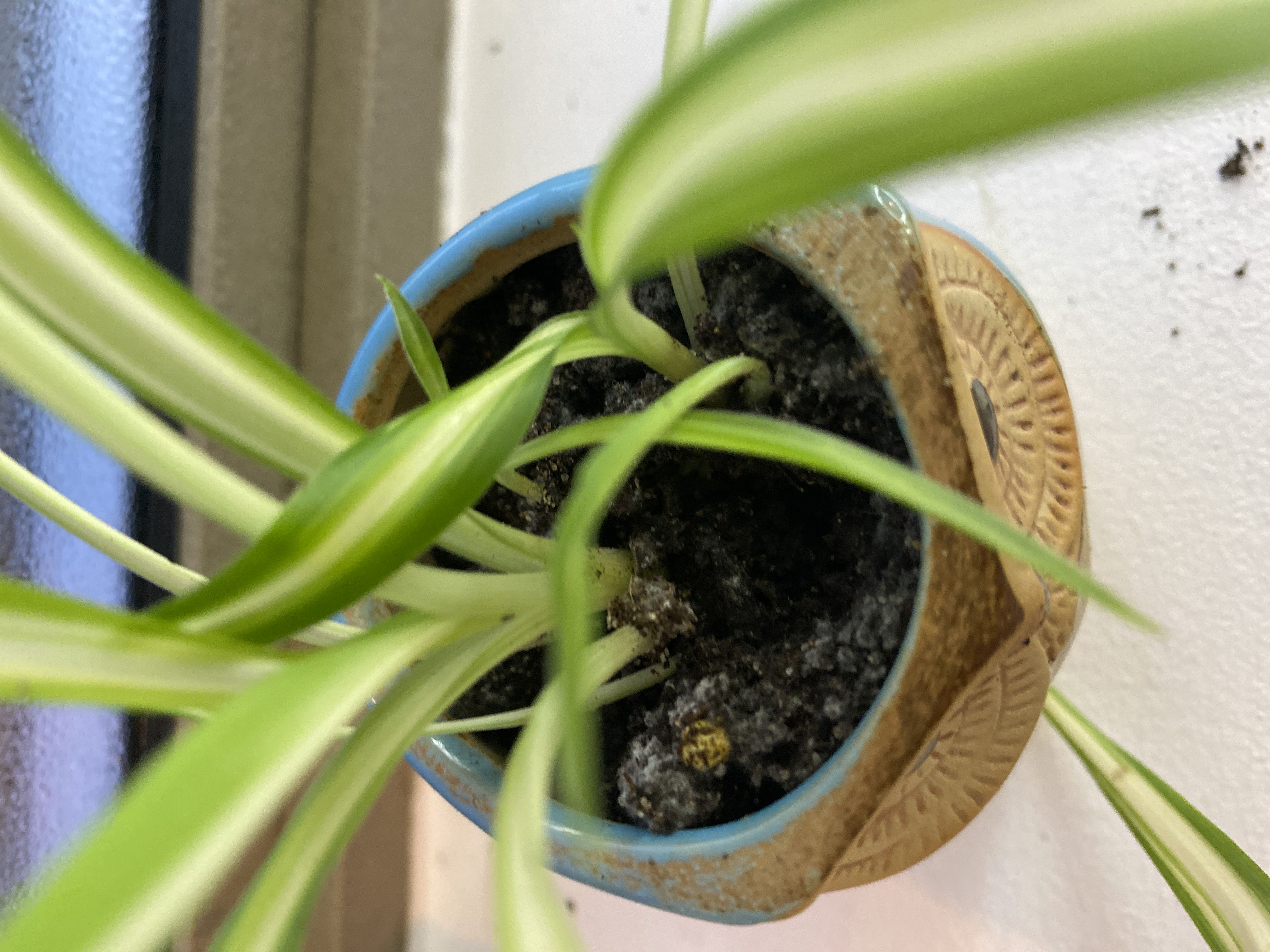 Photo from the post
