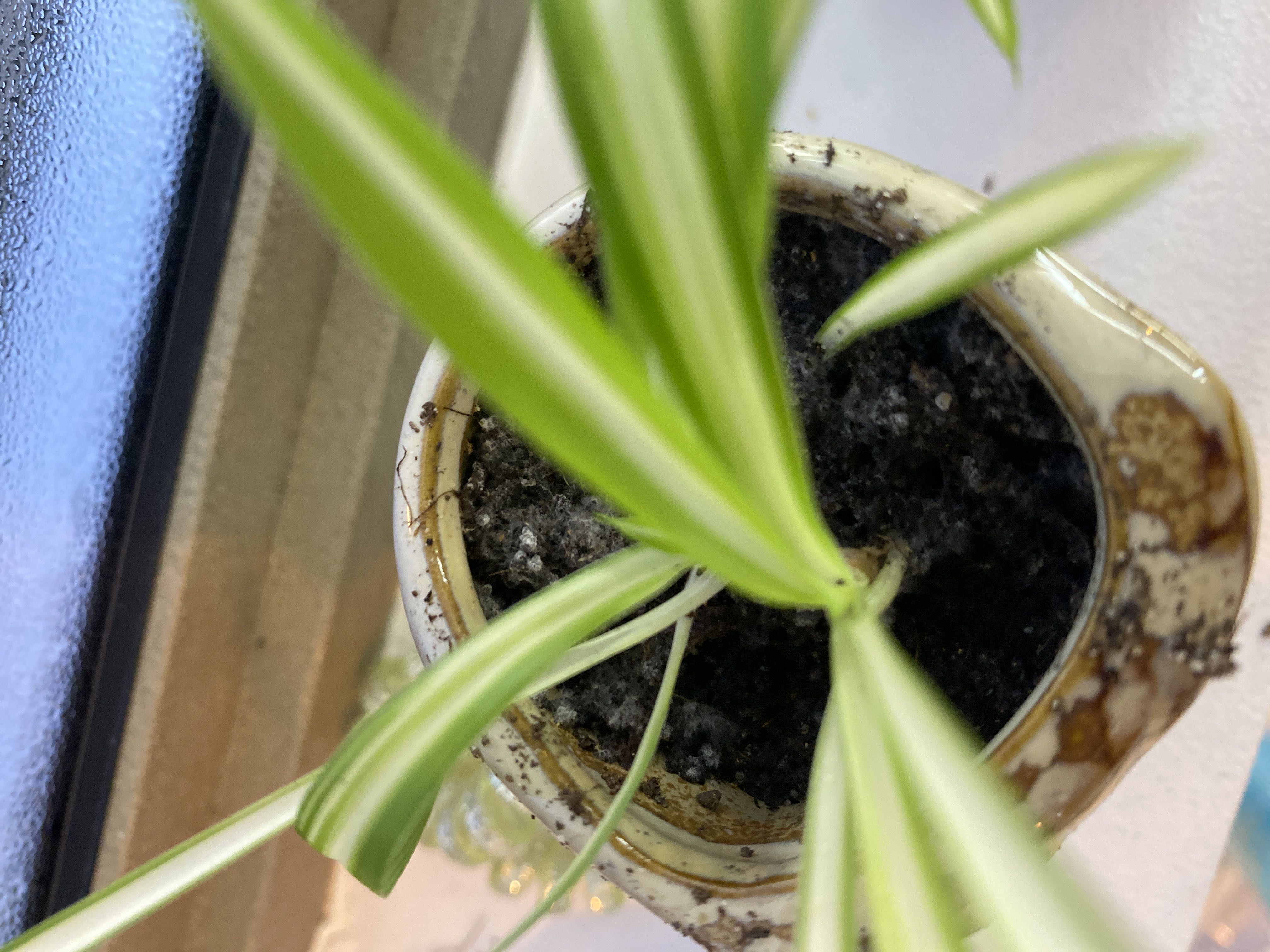Photo from the post